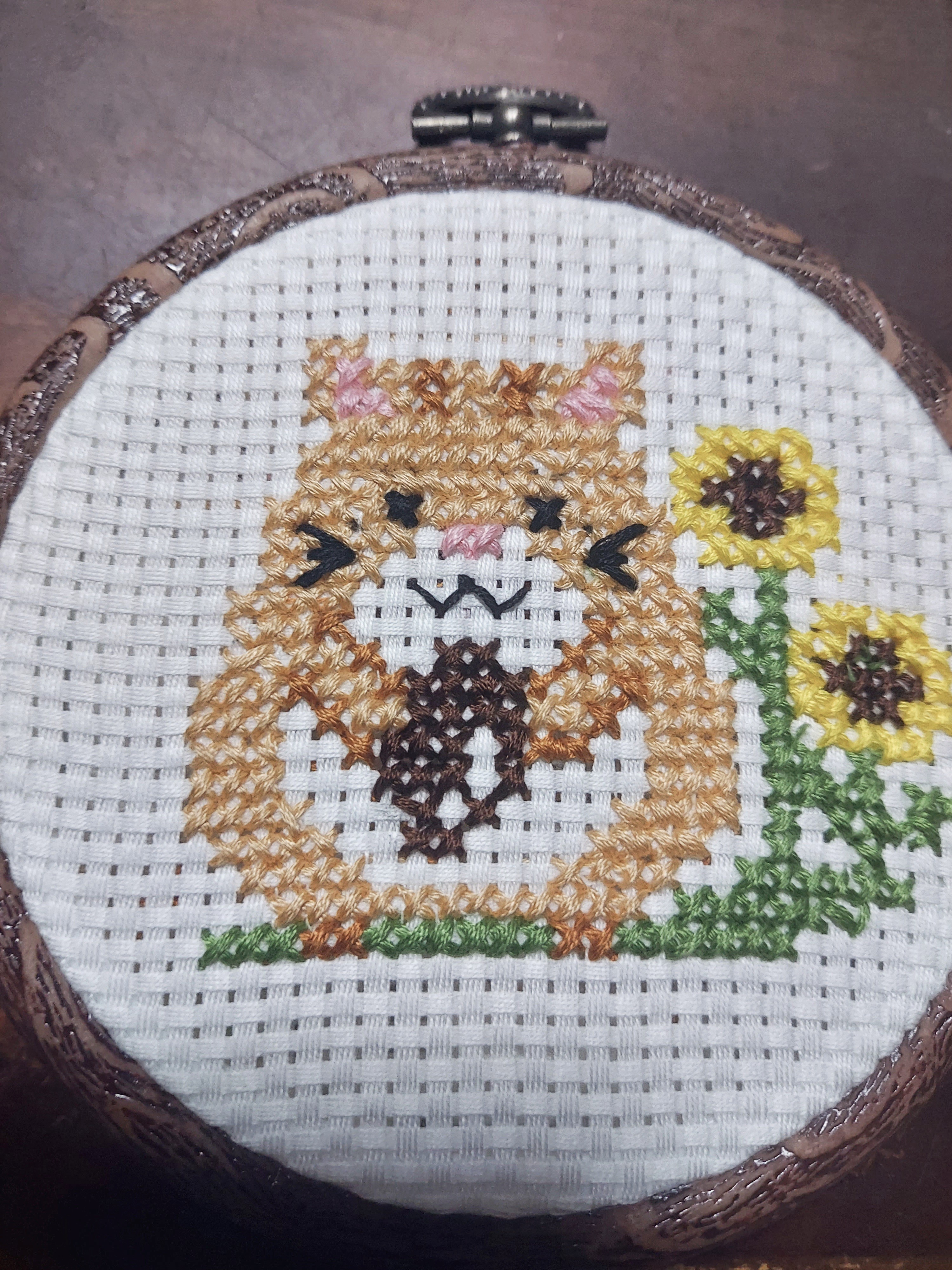 ♪かーこちゃん♪