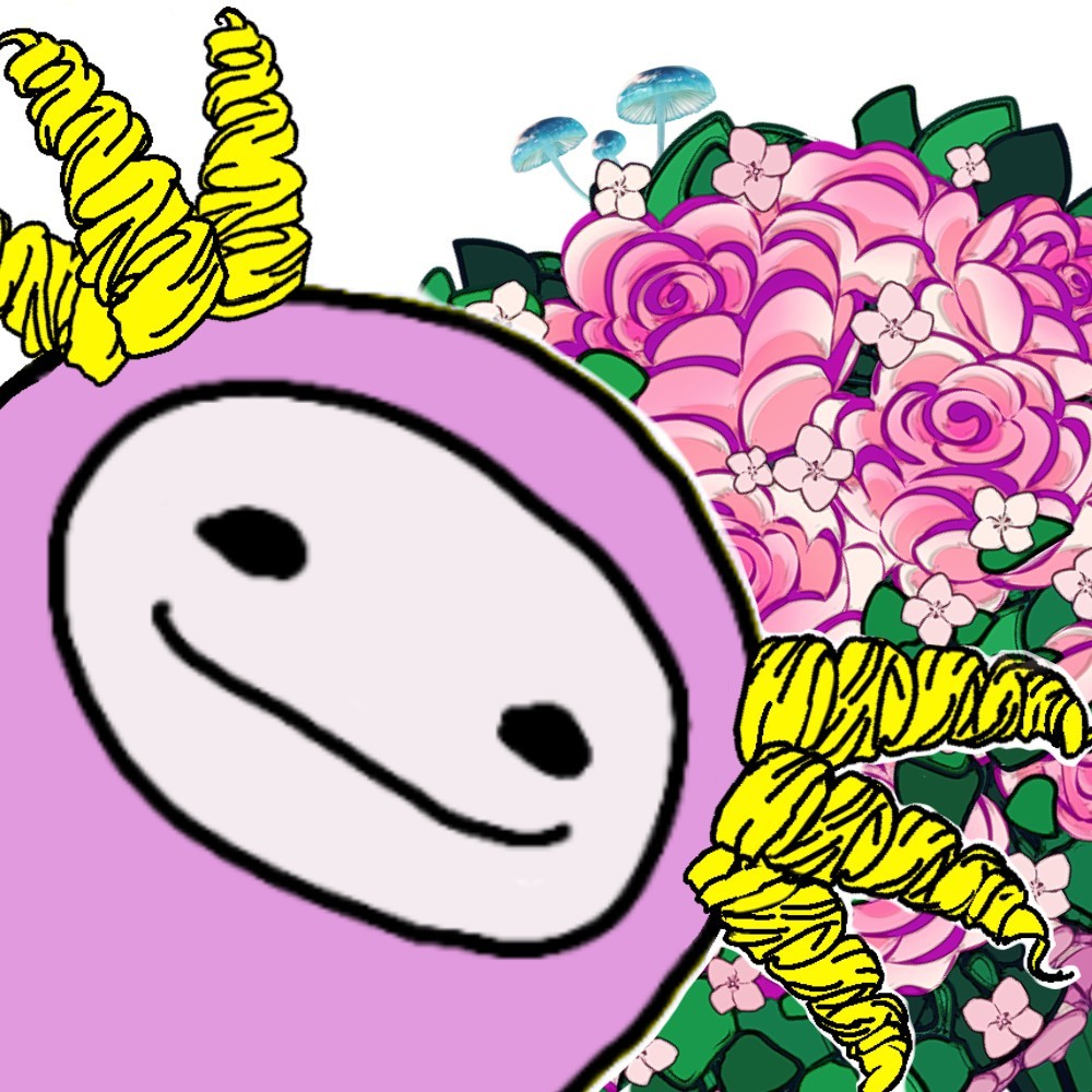 🐽🎶はちゃこ