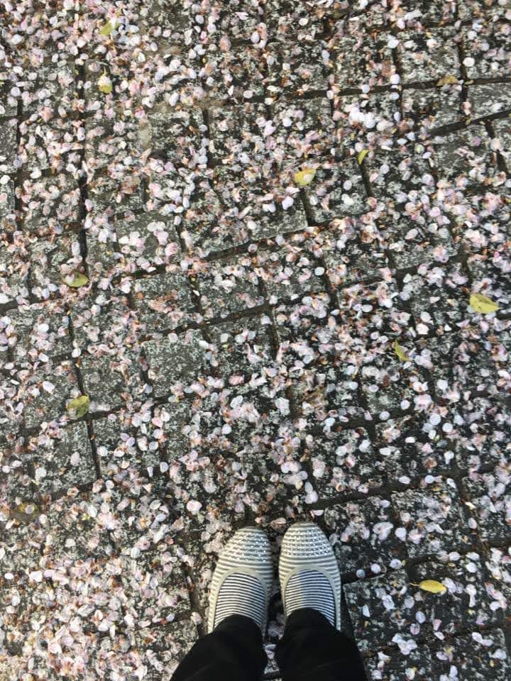 マリア𝕮ᵐ🎈🤡🥀🐰⚐︎