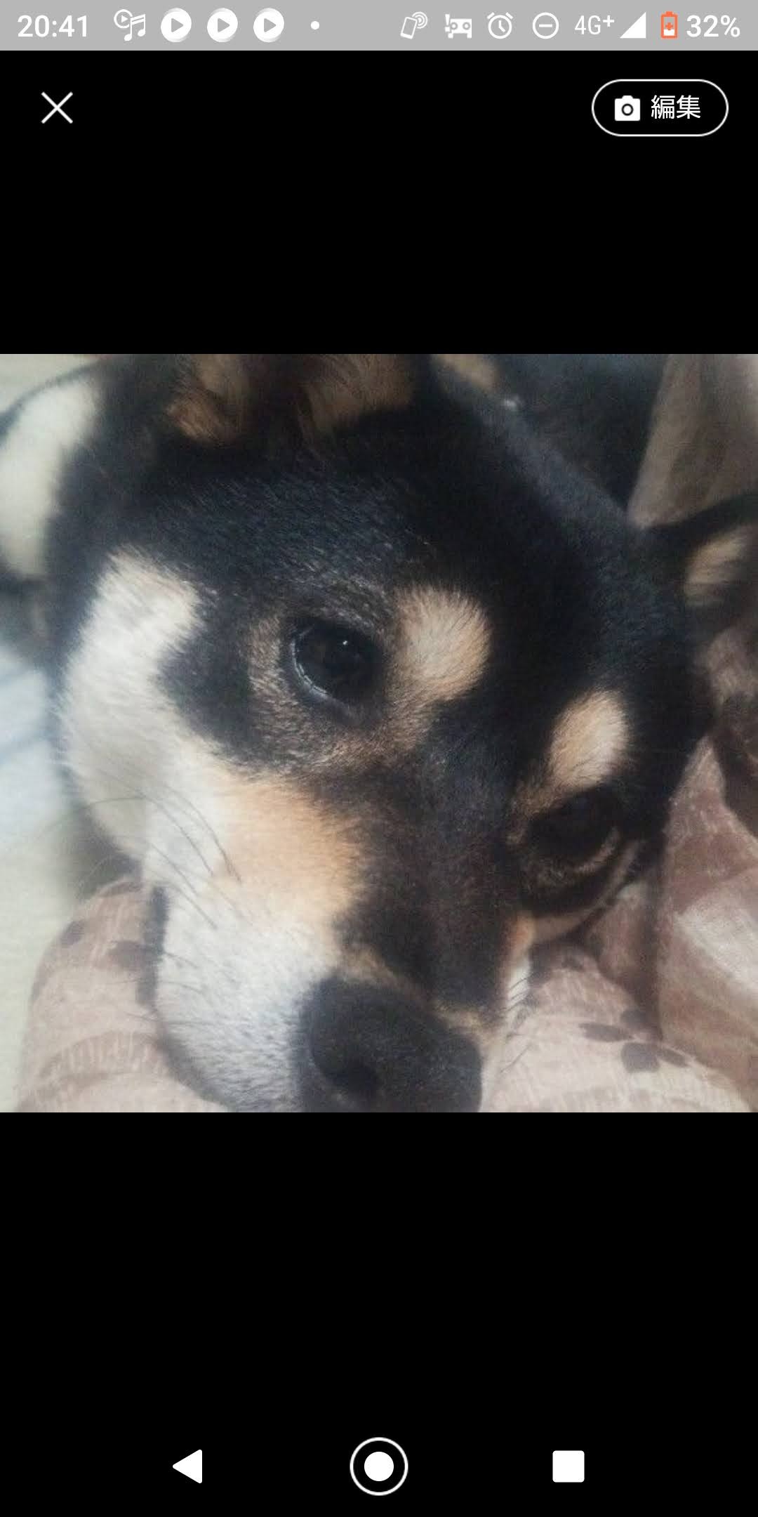 TARAKO🍫 ☊((｡-`ω-)