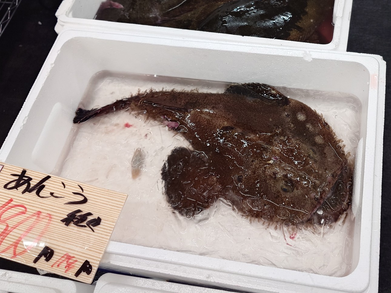 🍣てら彦さん@ばのまね