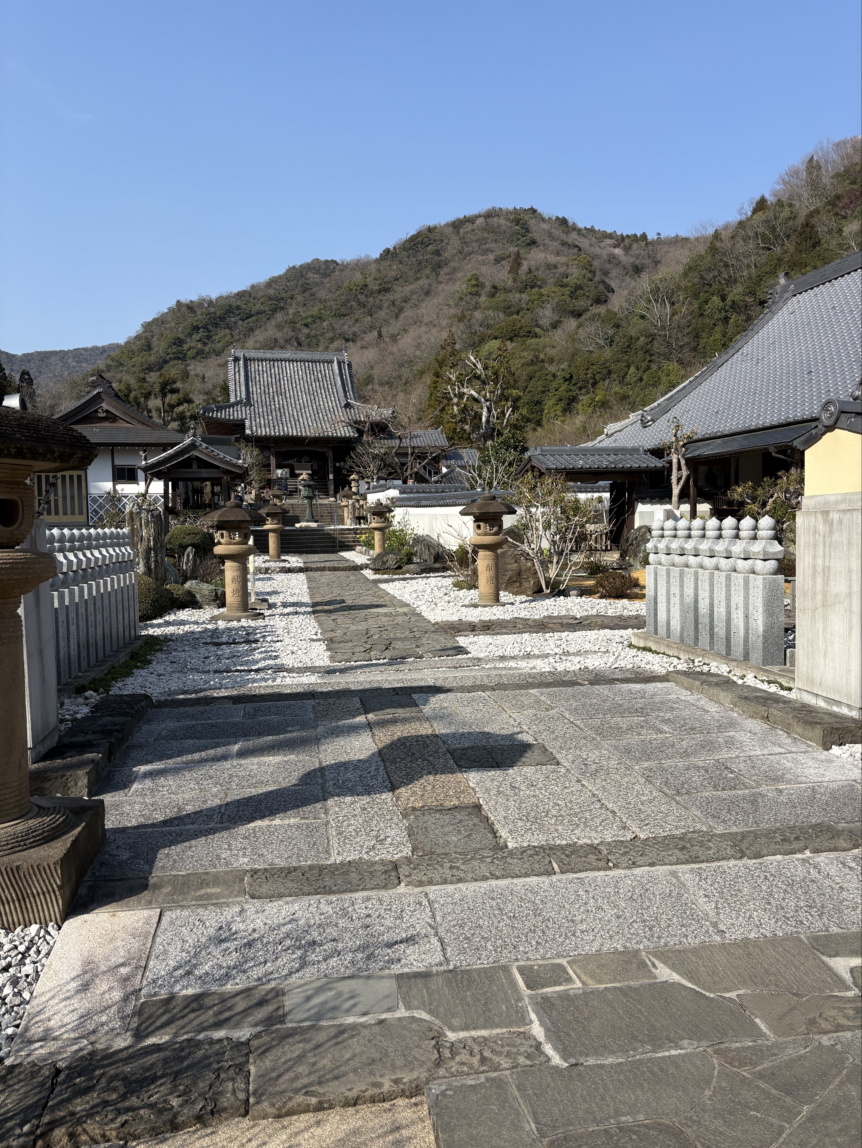 ᴭ⨋ 薄切発酵乳製品𝓾໊  𝐔*̣̩