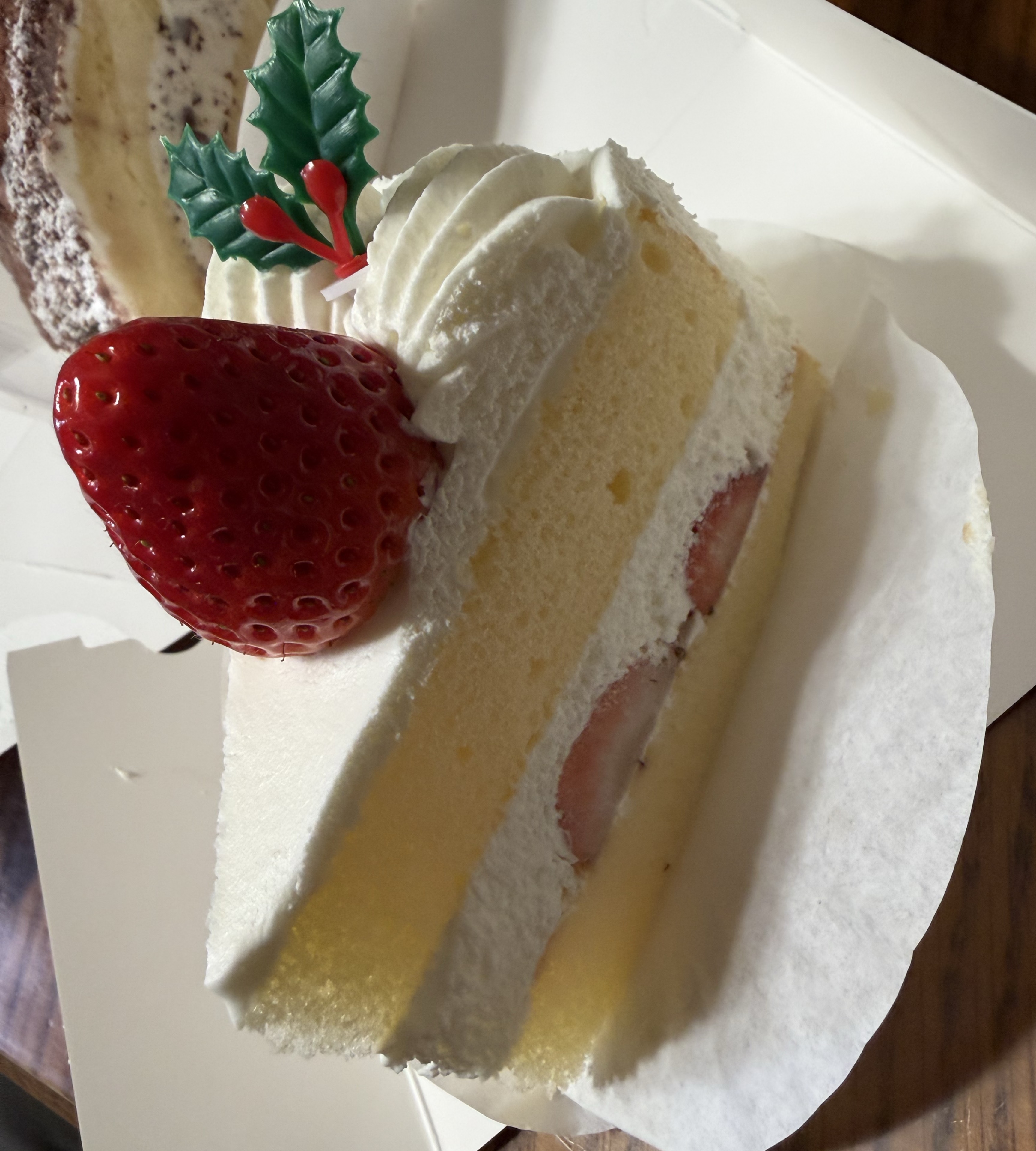 咖喱猫之介🍛🐈⸒⸒⸒⸒ஐ‬⡱