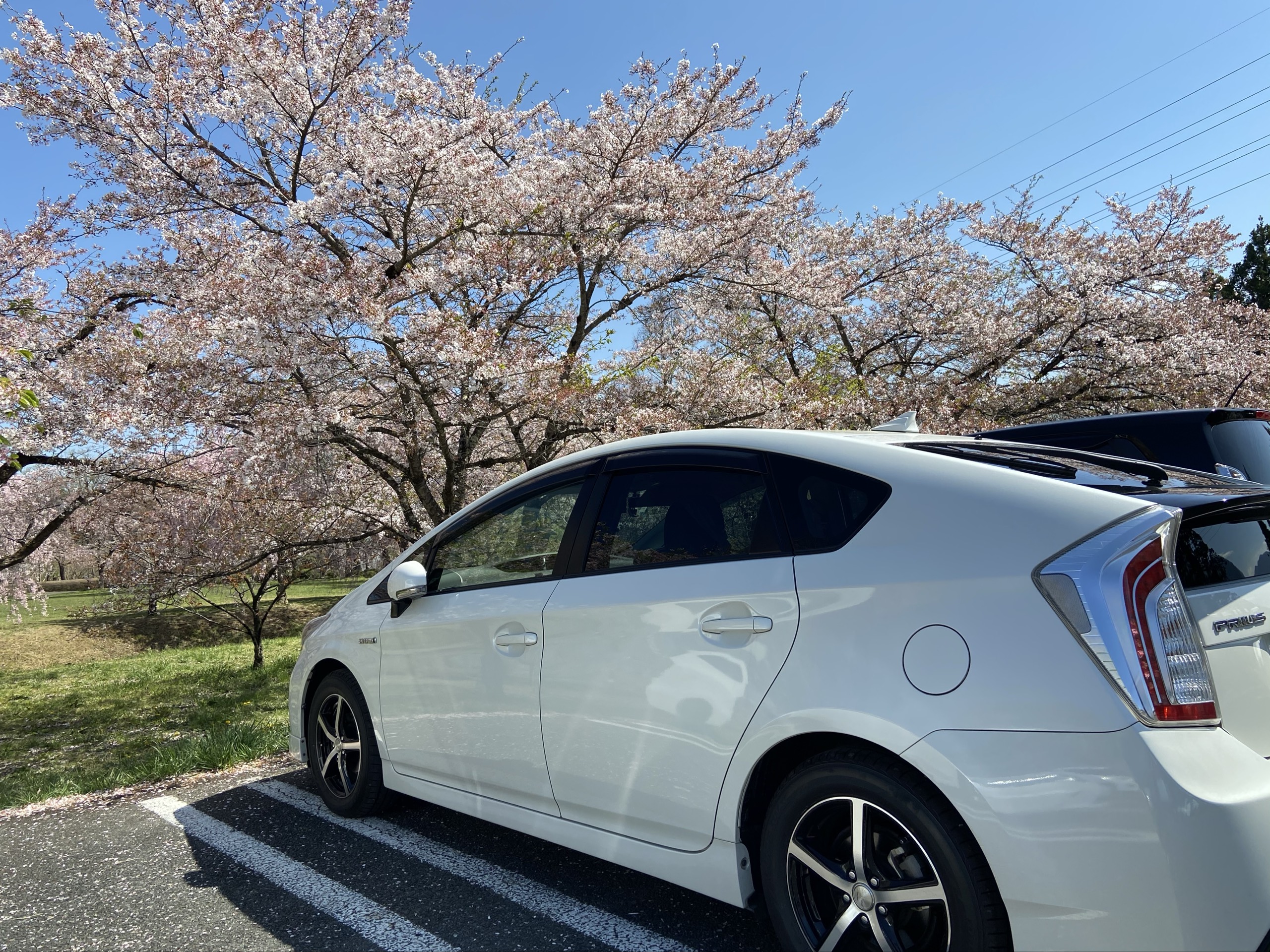 🌹🌙K-Holic🌺🌴