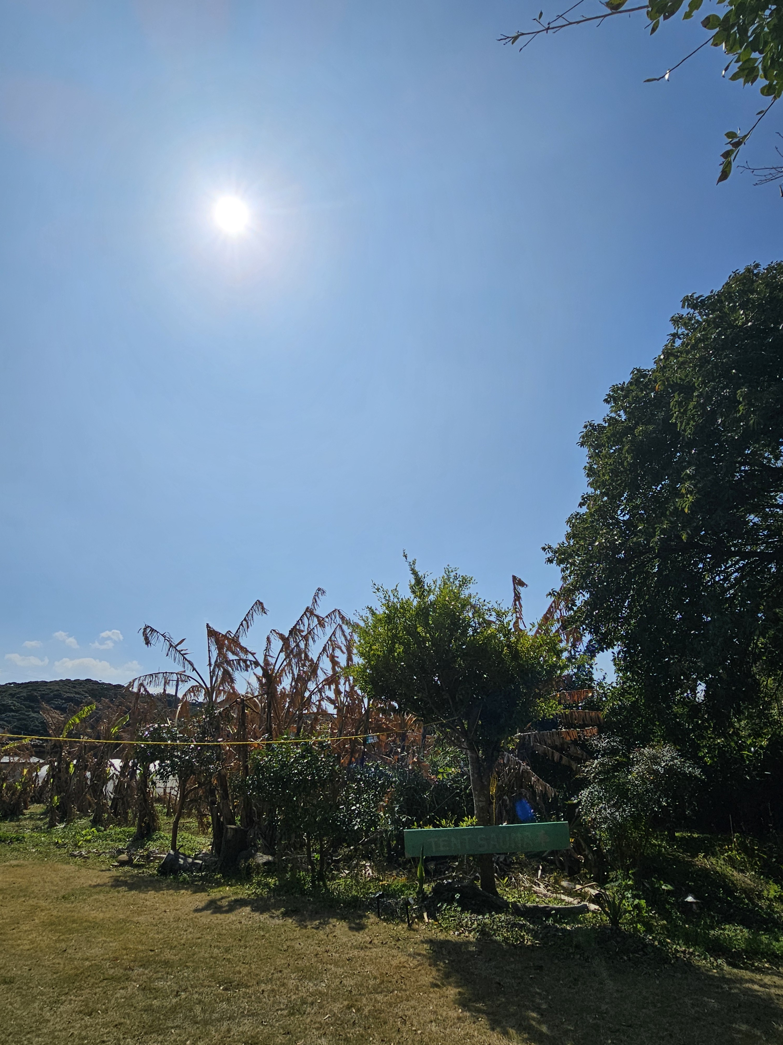 🌺*はぶ‪( ꇐ₃ꇐ )*