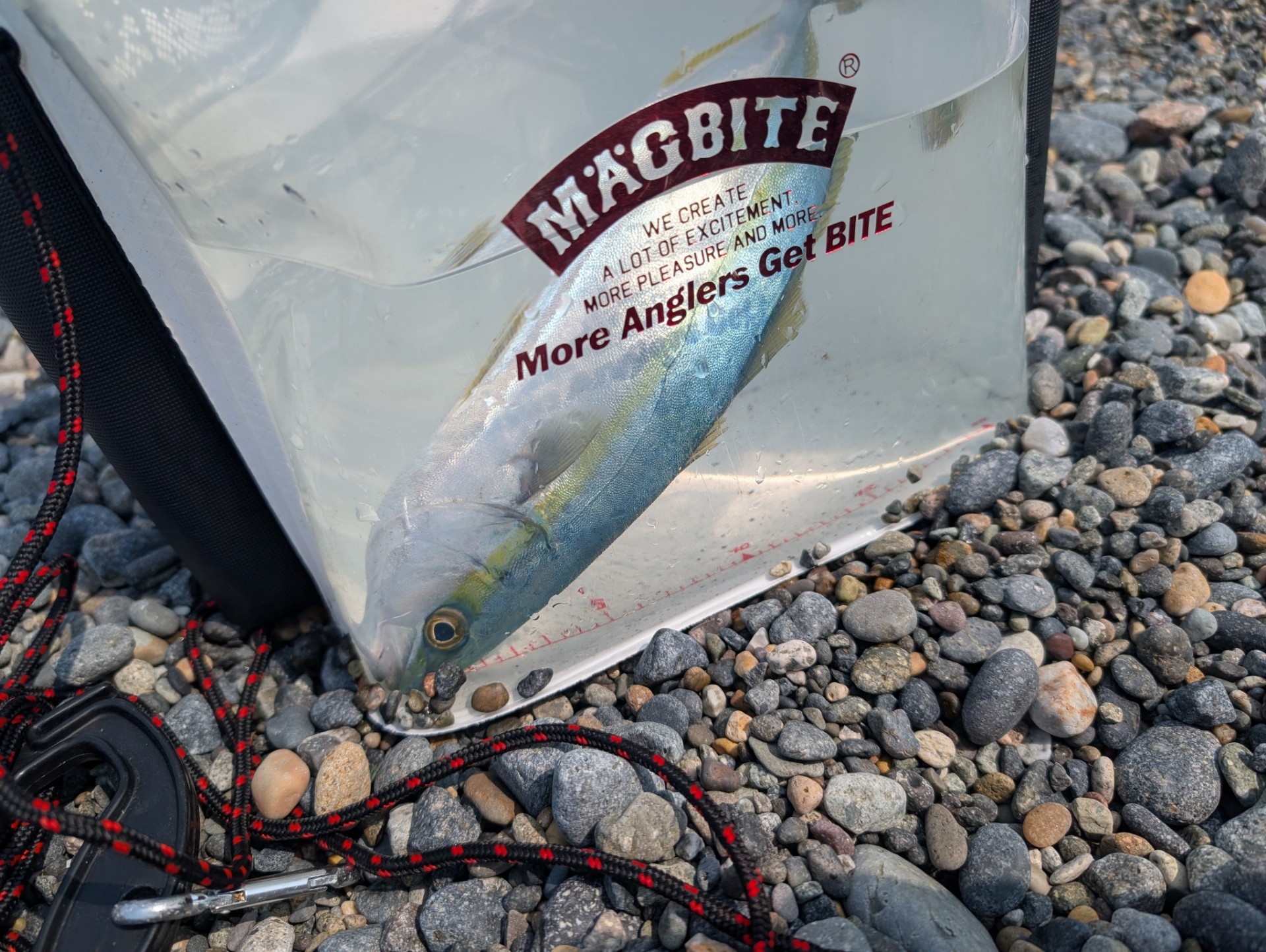 🎣お漏らしつーじー