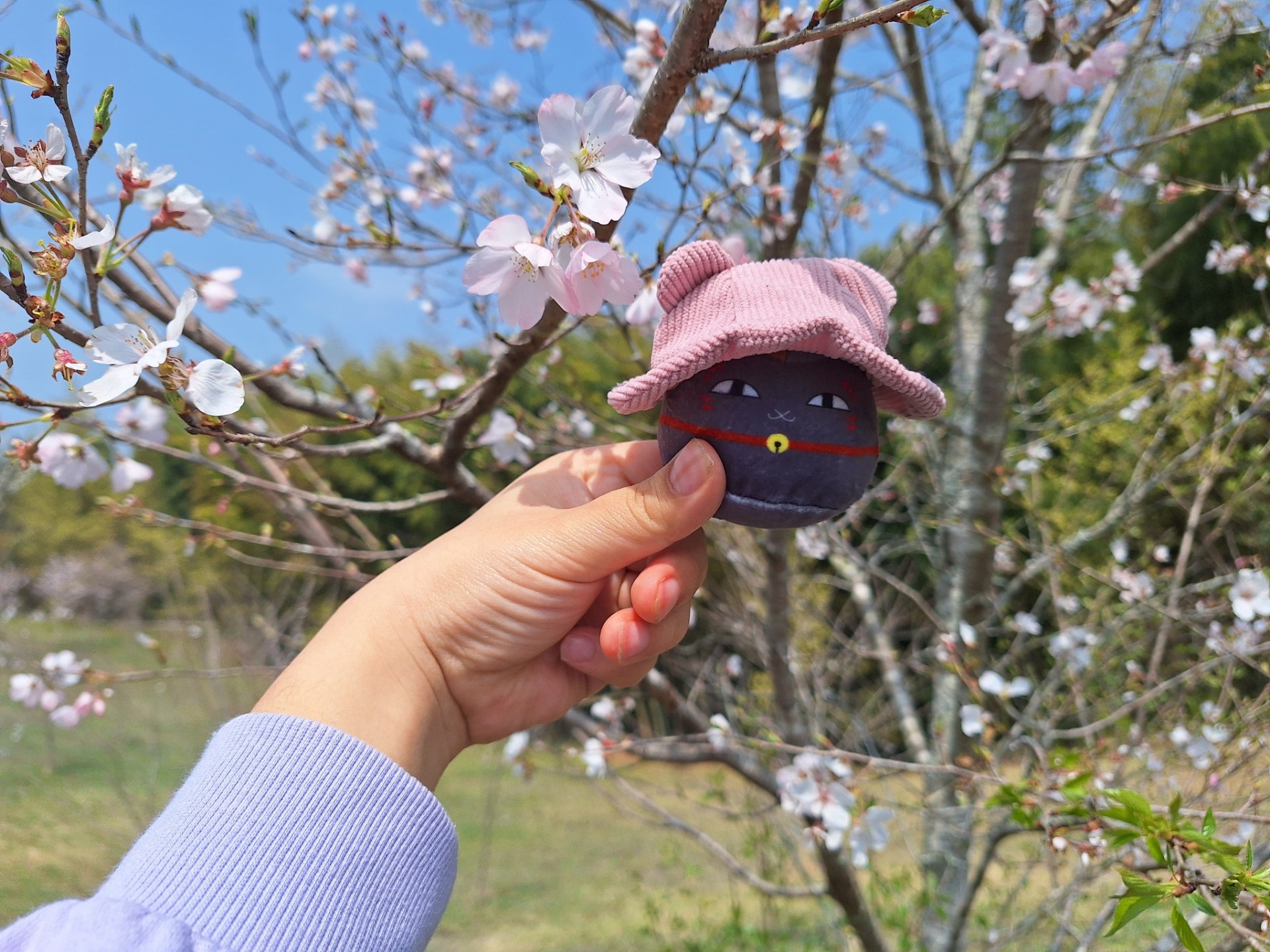 あかね紅音Öஐ☘︎︎♤﻿𝐾𓈒𓂂𓏸