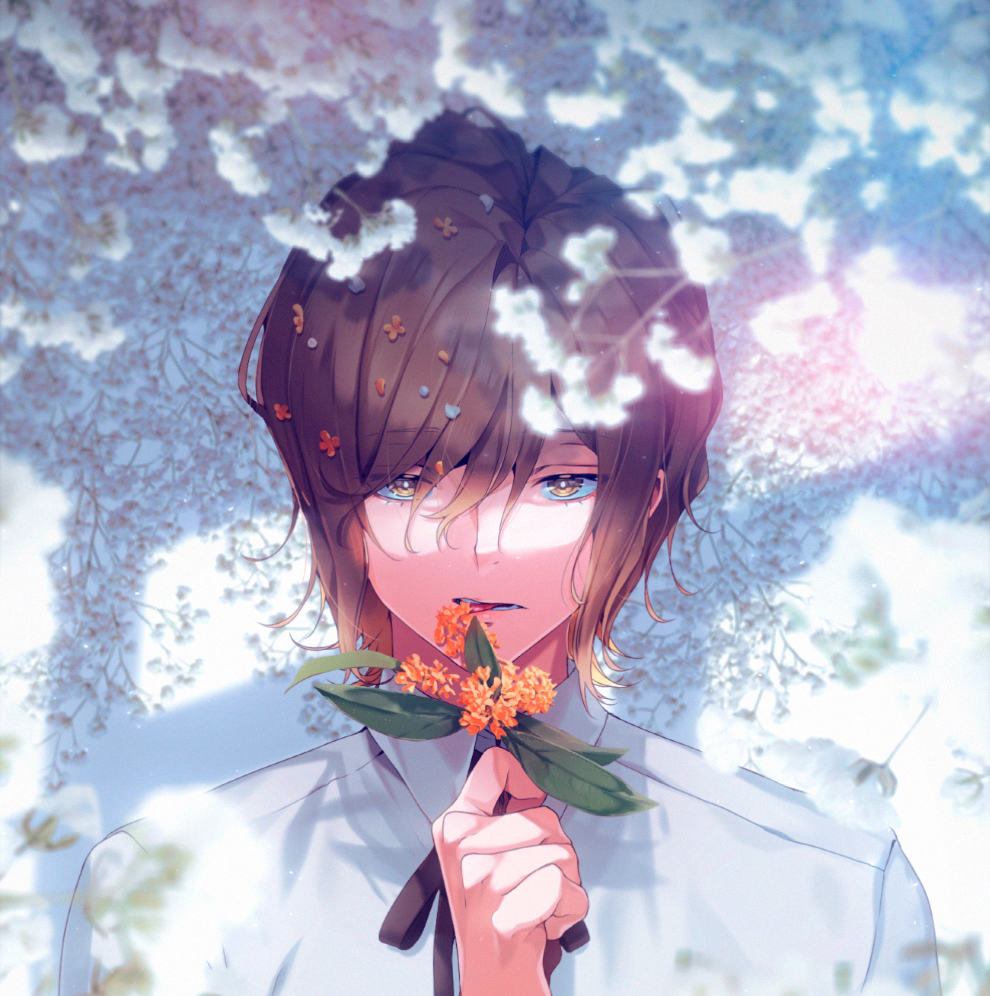 *☕️甘味屋ぽぽたん