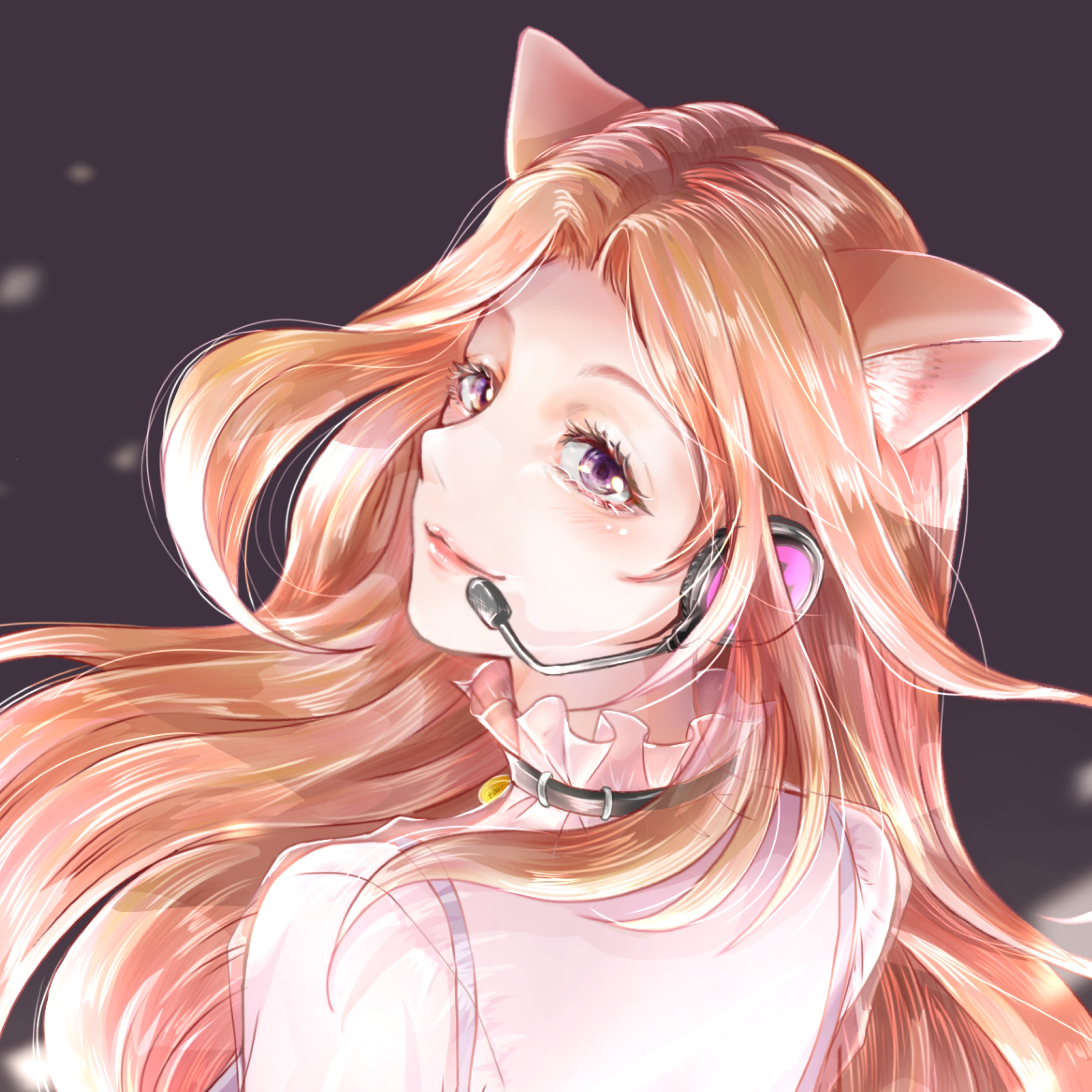 «常連» *ฅ୨⃛ににゃ