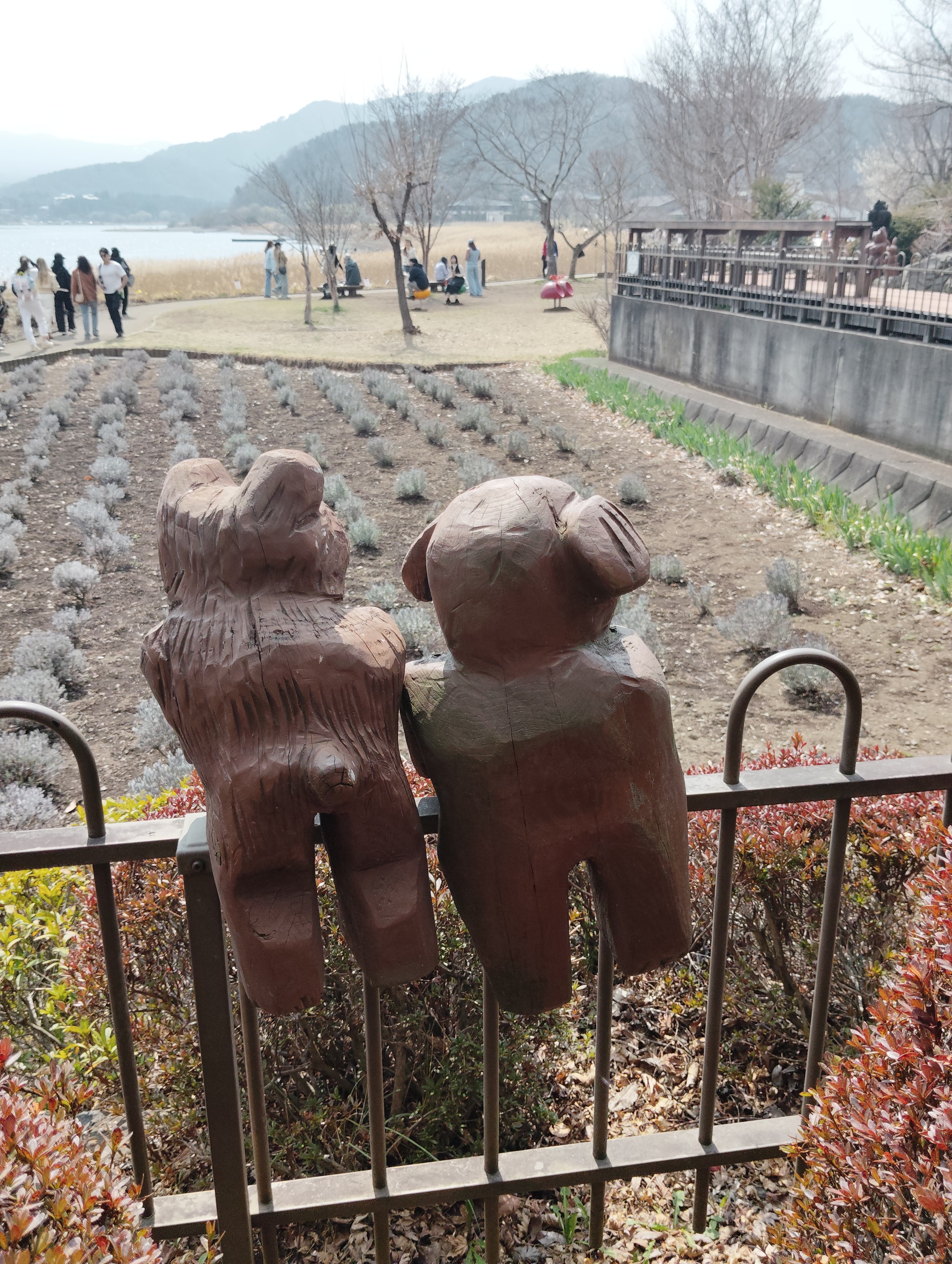 ゆきやこんこ 🦭