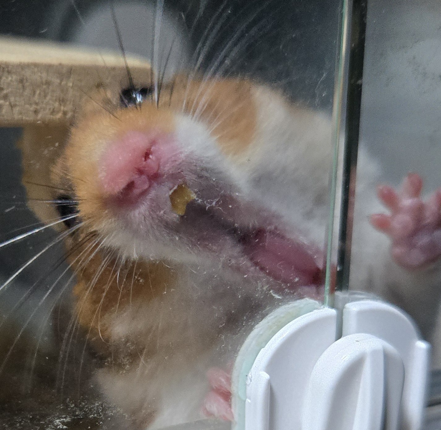 ❉ちゃんめぇ❍｡🌊