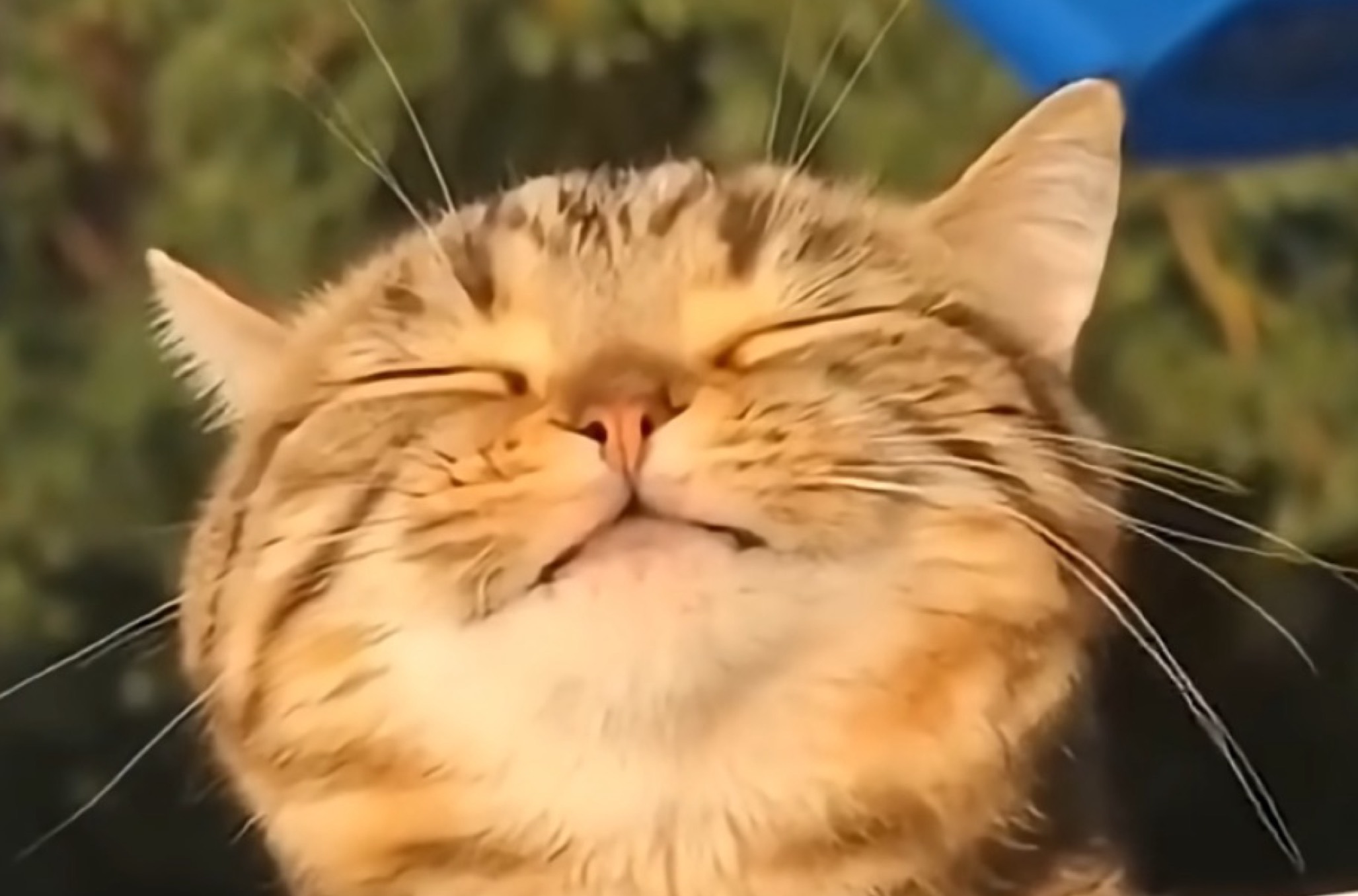 massu ð˰ âÌž ððžâ