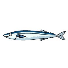 ひこ。🧸🎸💕🎹