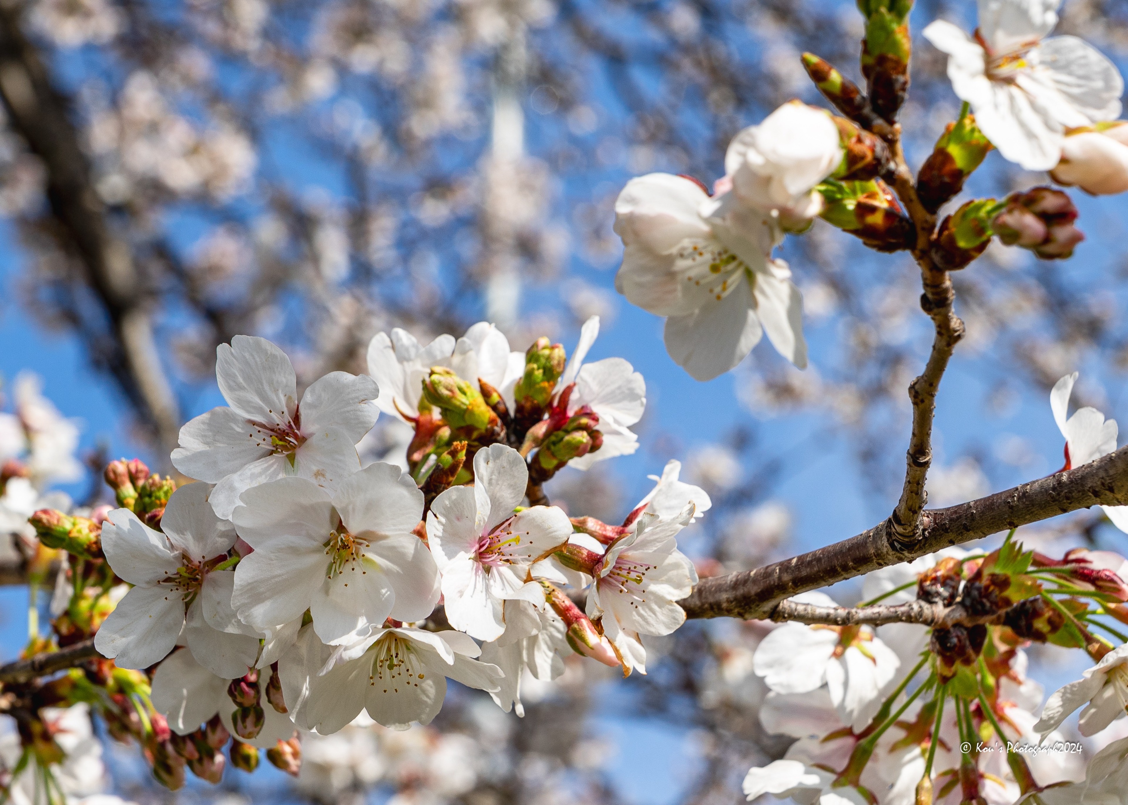 Hiroyuki🍉ⁿ̤̮ℱ²꒰ঌᴹ໒꒱