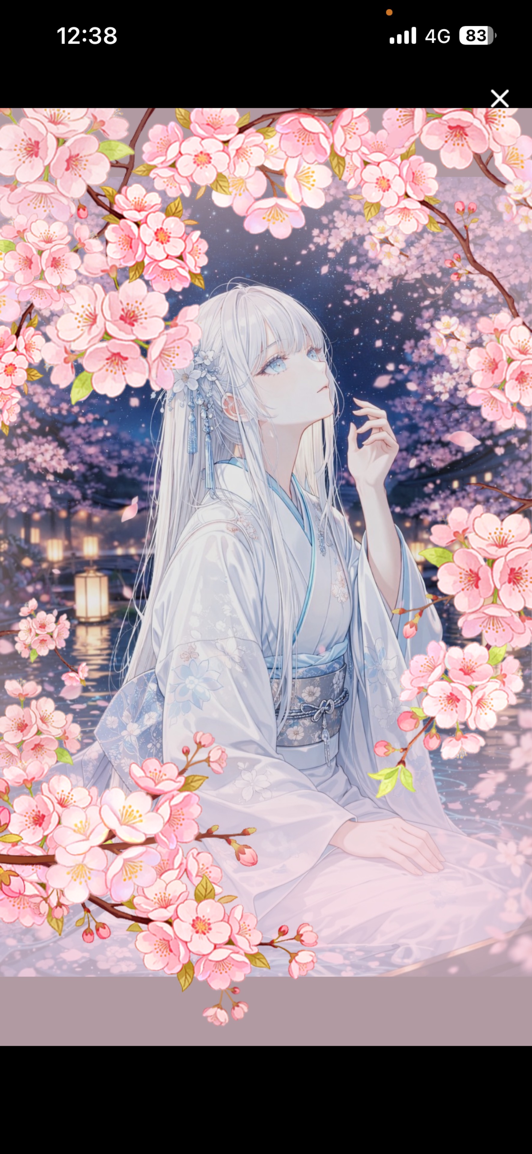 咲夜 ℟.𓏲𓎨⋆*