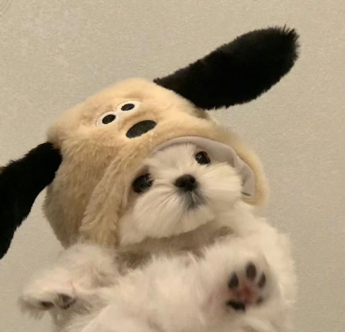 にぬ