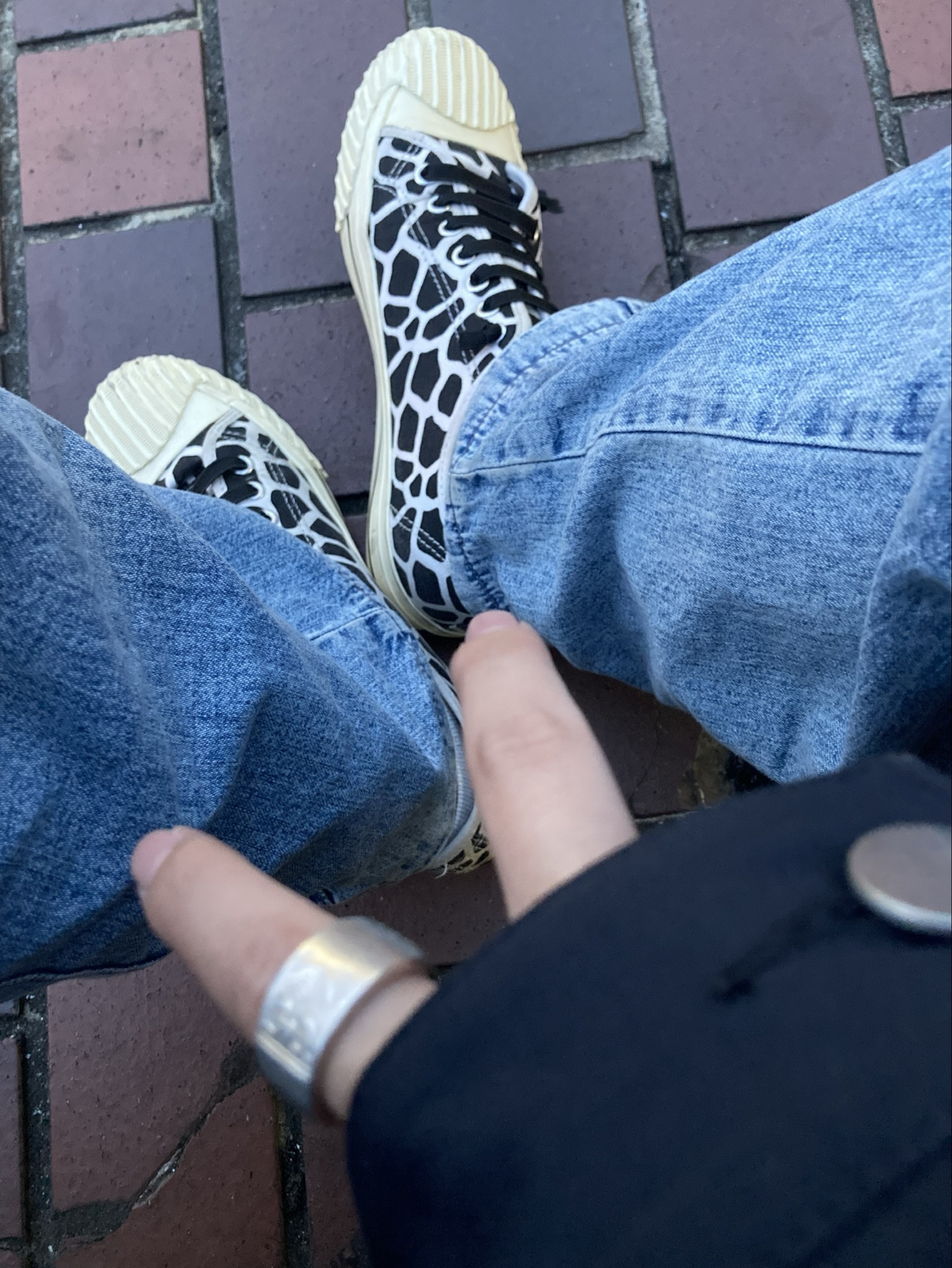 jituོ。𖤣𖥧師走のいい蚊𖤣𖥧𝑺₆