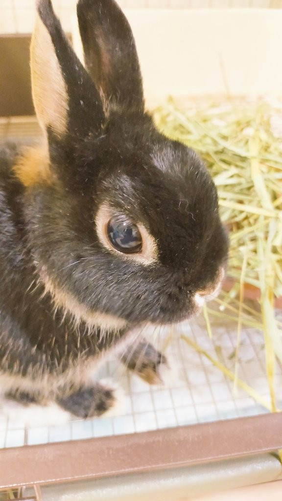 📸やーまん@バリラジ📻！