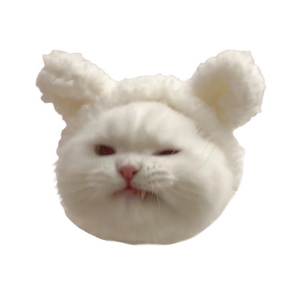 きなドライバー