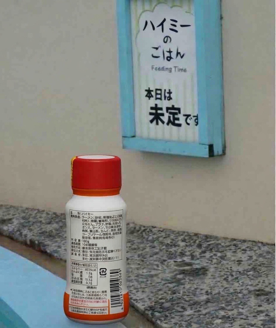 𓆩❀̥𓆪HYMI(はいみー)🐬