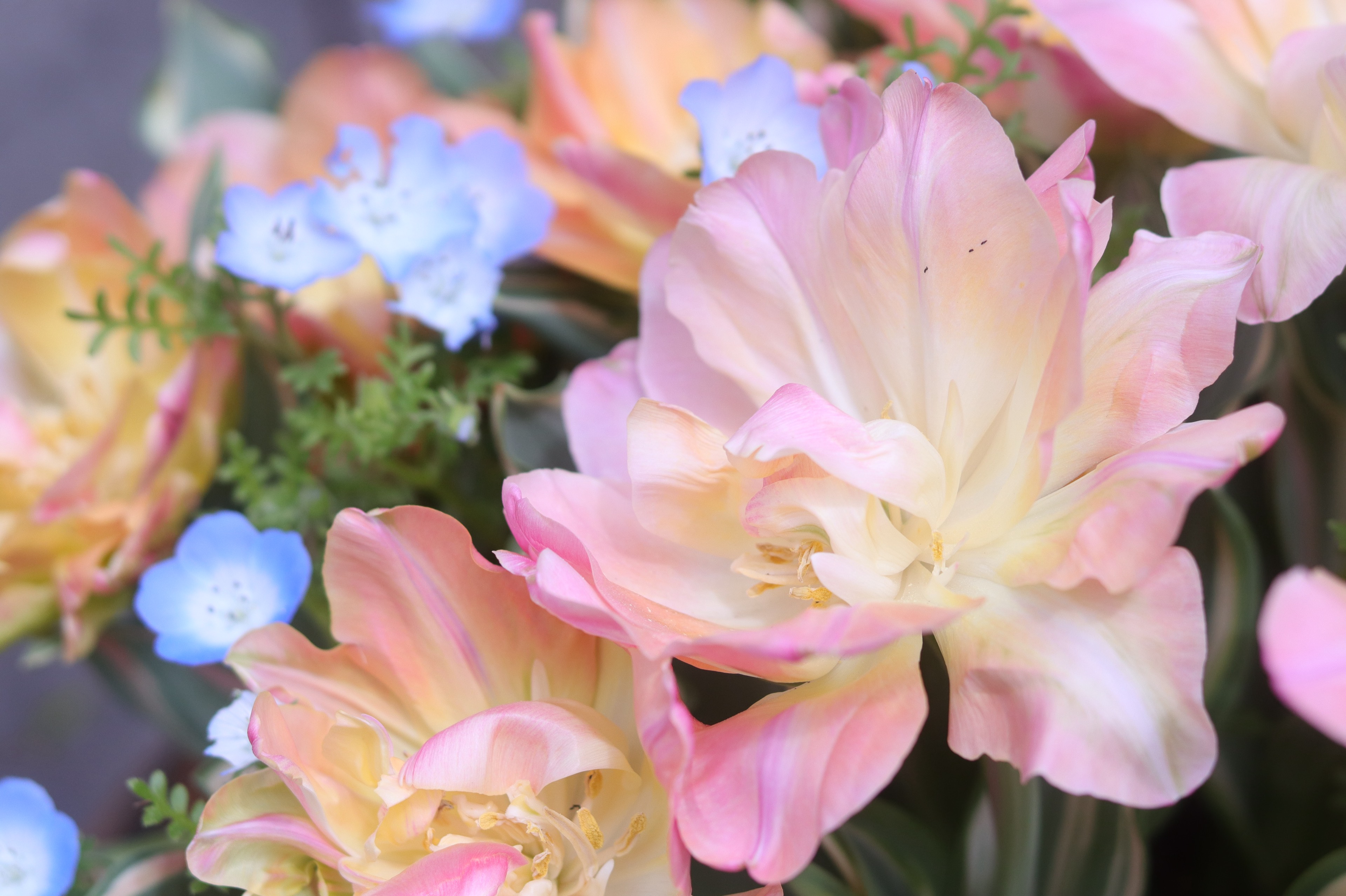 ☀️☽︎⋆̩ゆうひ