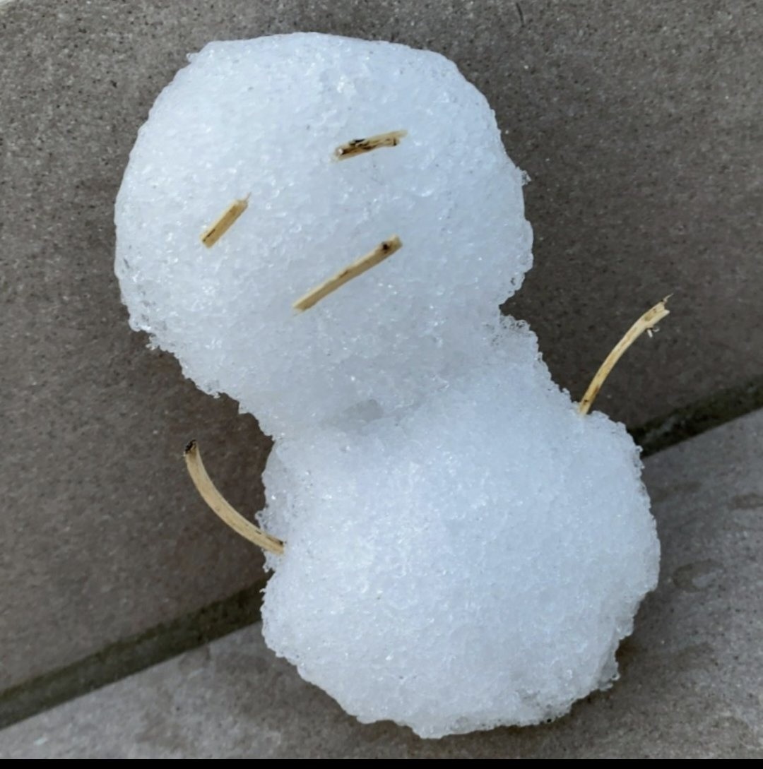 柚木 ゆあん.☃ྀི