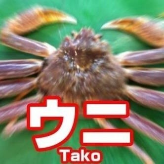 ʚ˙꒳​˙ɞ⸒⸒ナガミ