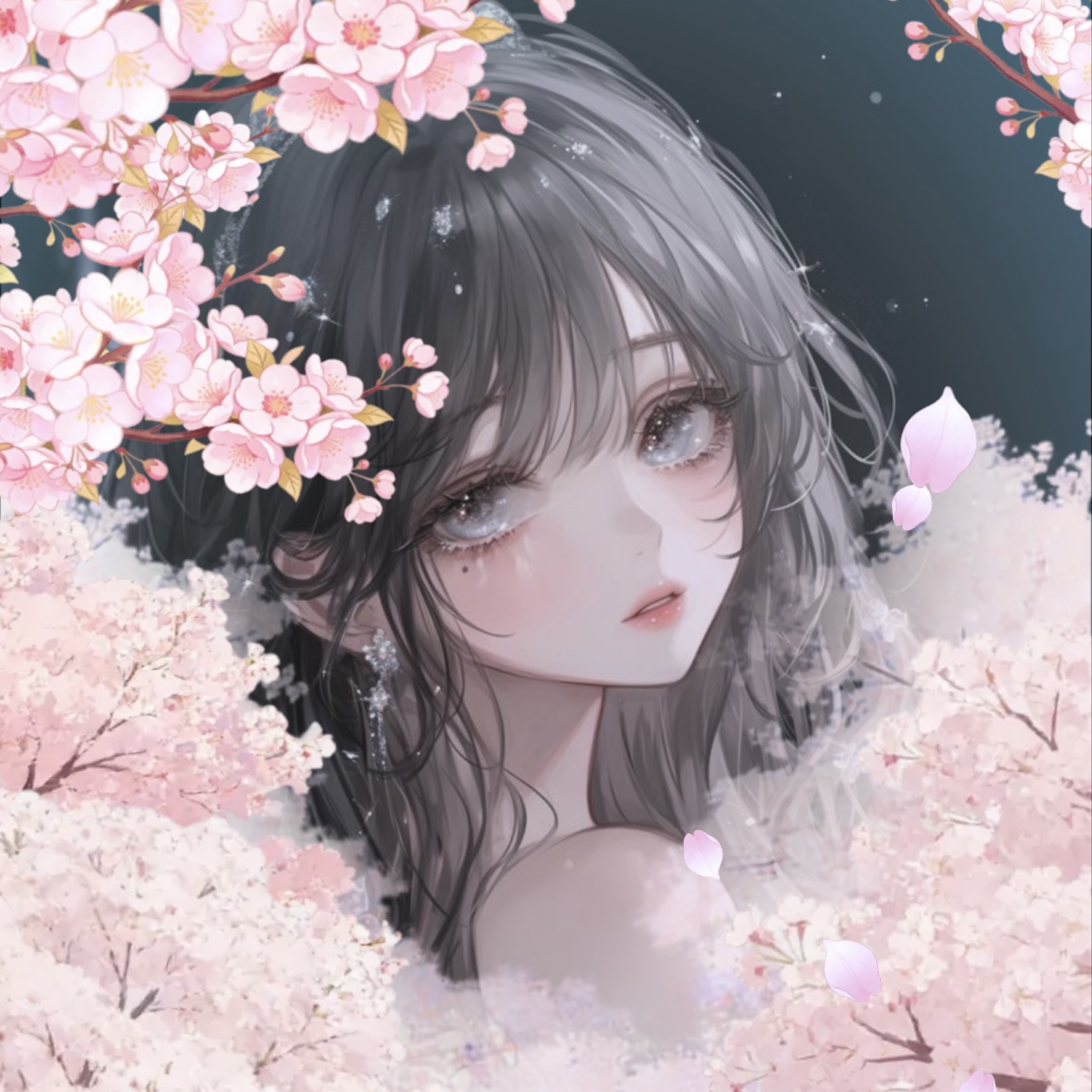 𓈒𓏸︎︎︎︎ 𝘯𝘰𝘢