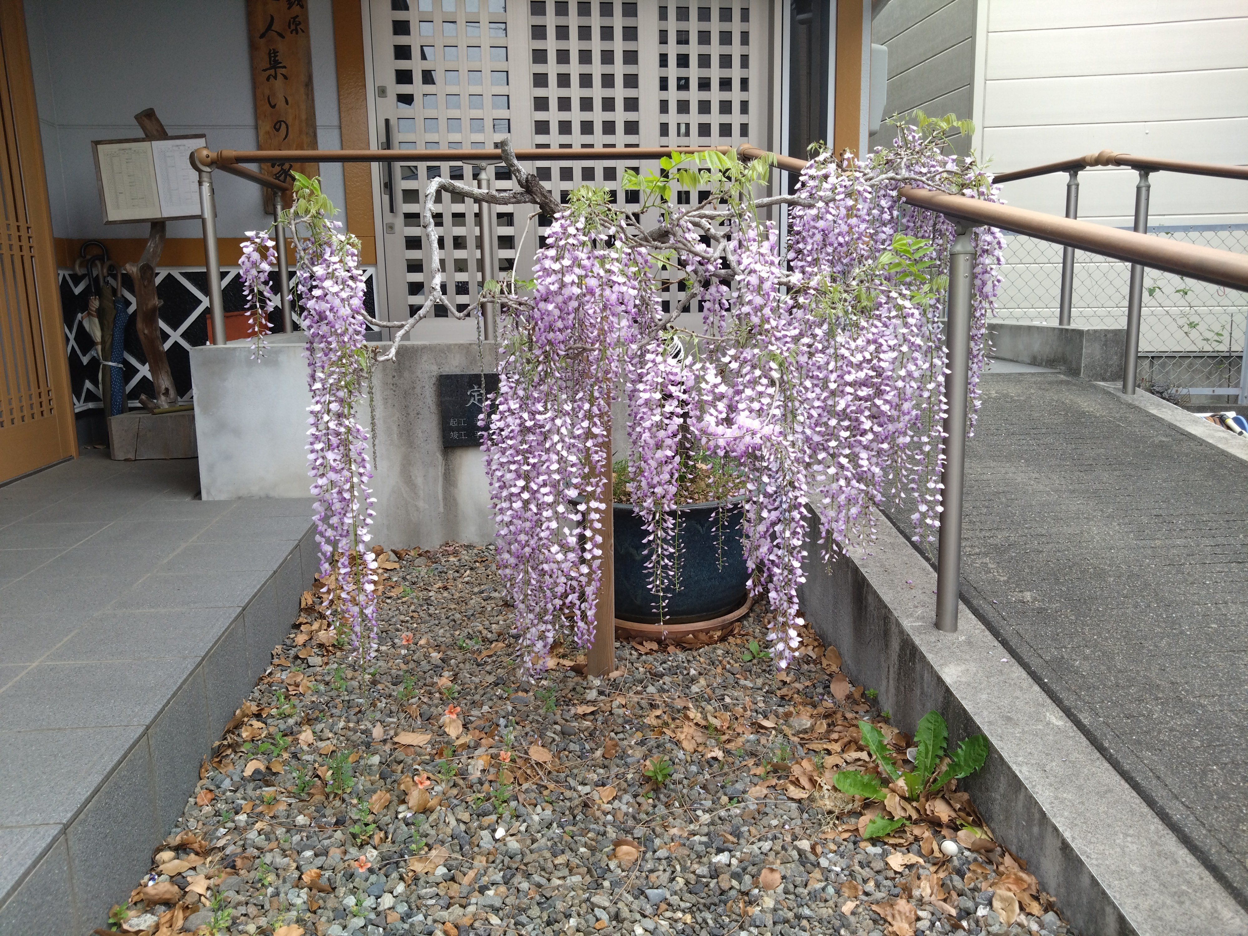 しんや＆さわぴー