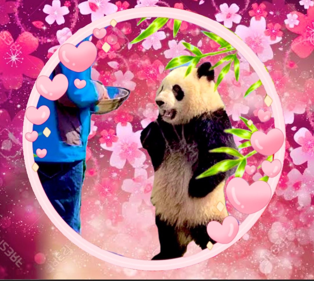 さとみい(パンダです)