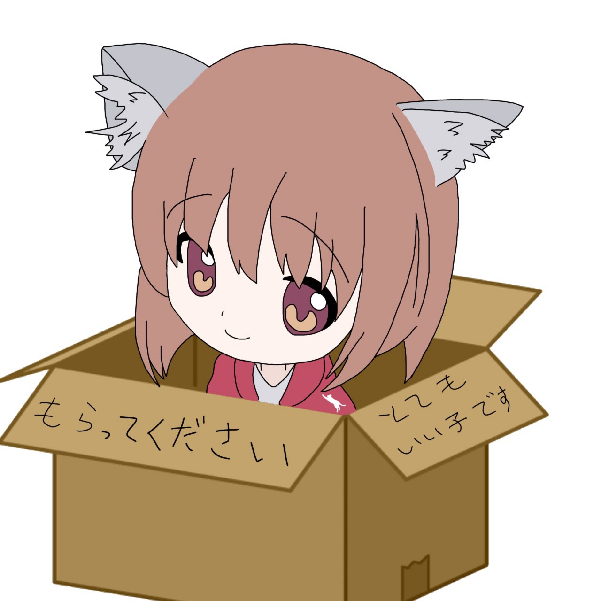 ☪︎⋆しろねこ🦁