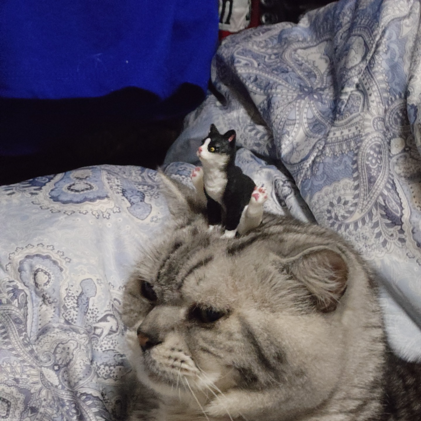 ざば＠土日お休み会社員・おすすめは枠へ