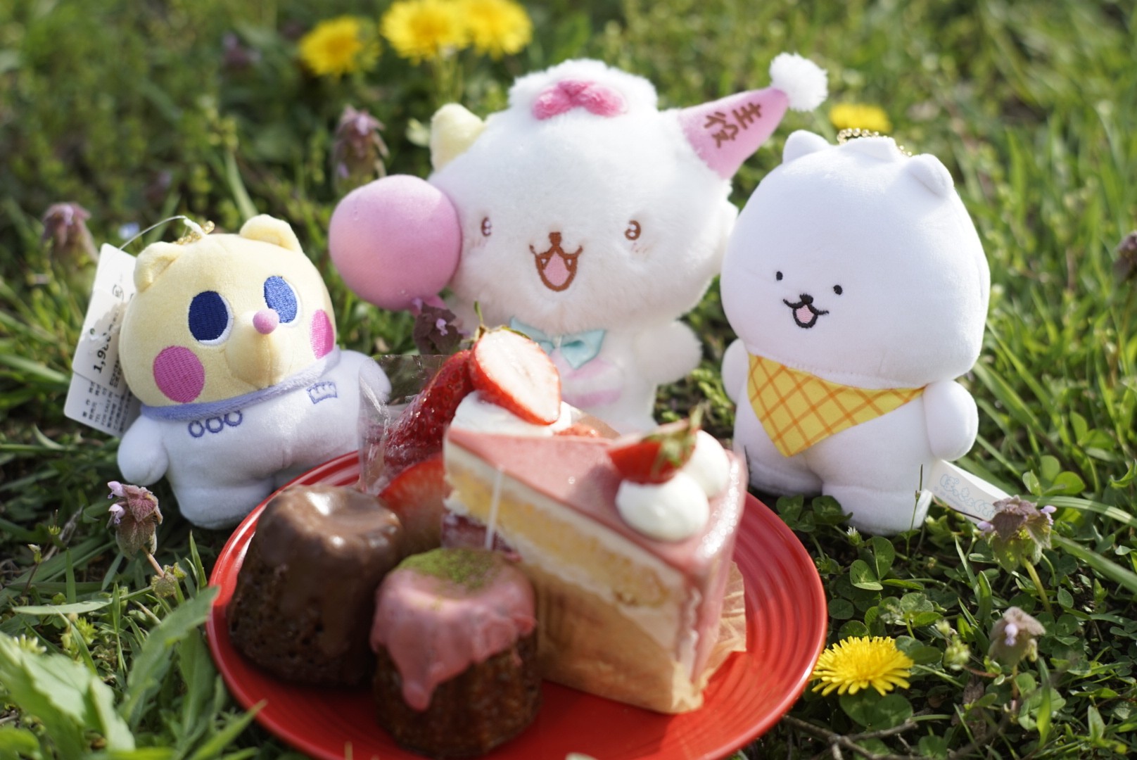 だいじろう〘毎週火曜20時〜定期枠〙