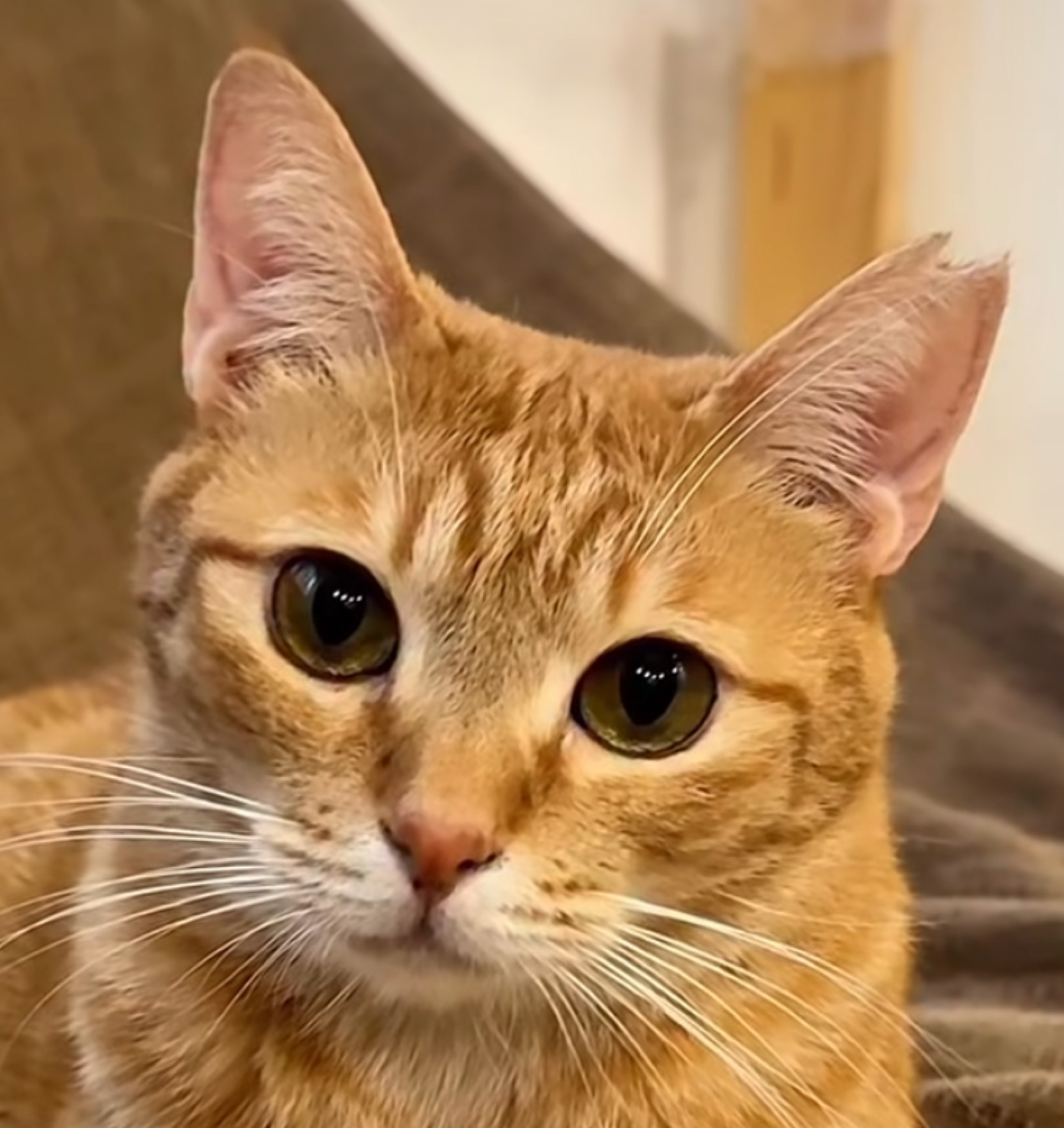 ましろさあああん