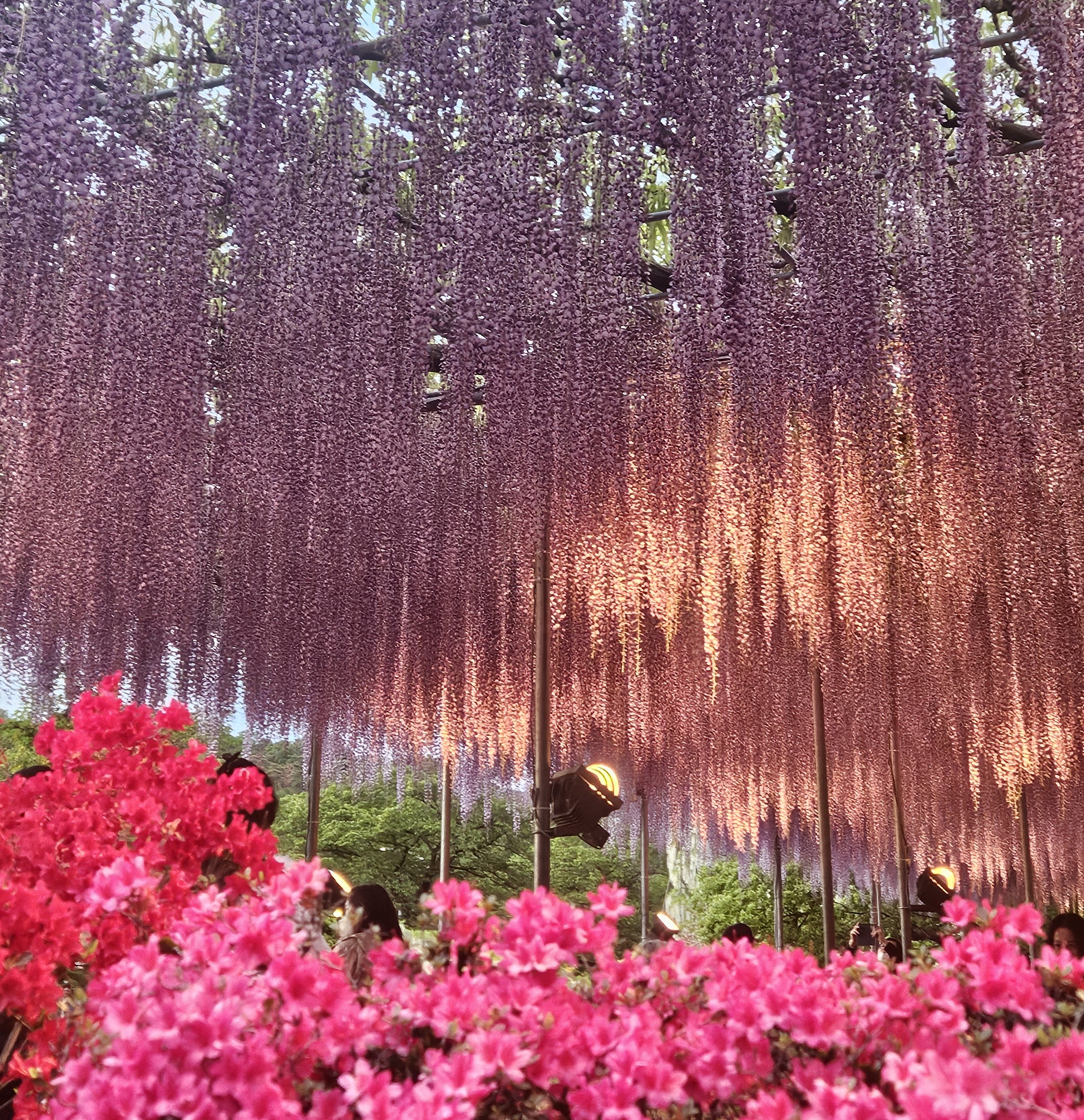 美緒【𝐬𝐤𝐲】さすらいの1人旅
