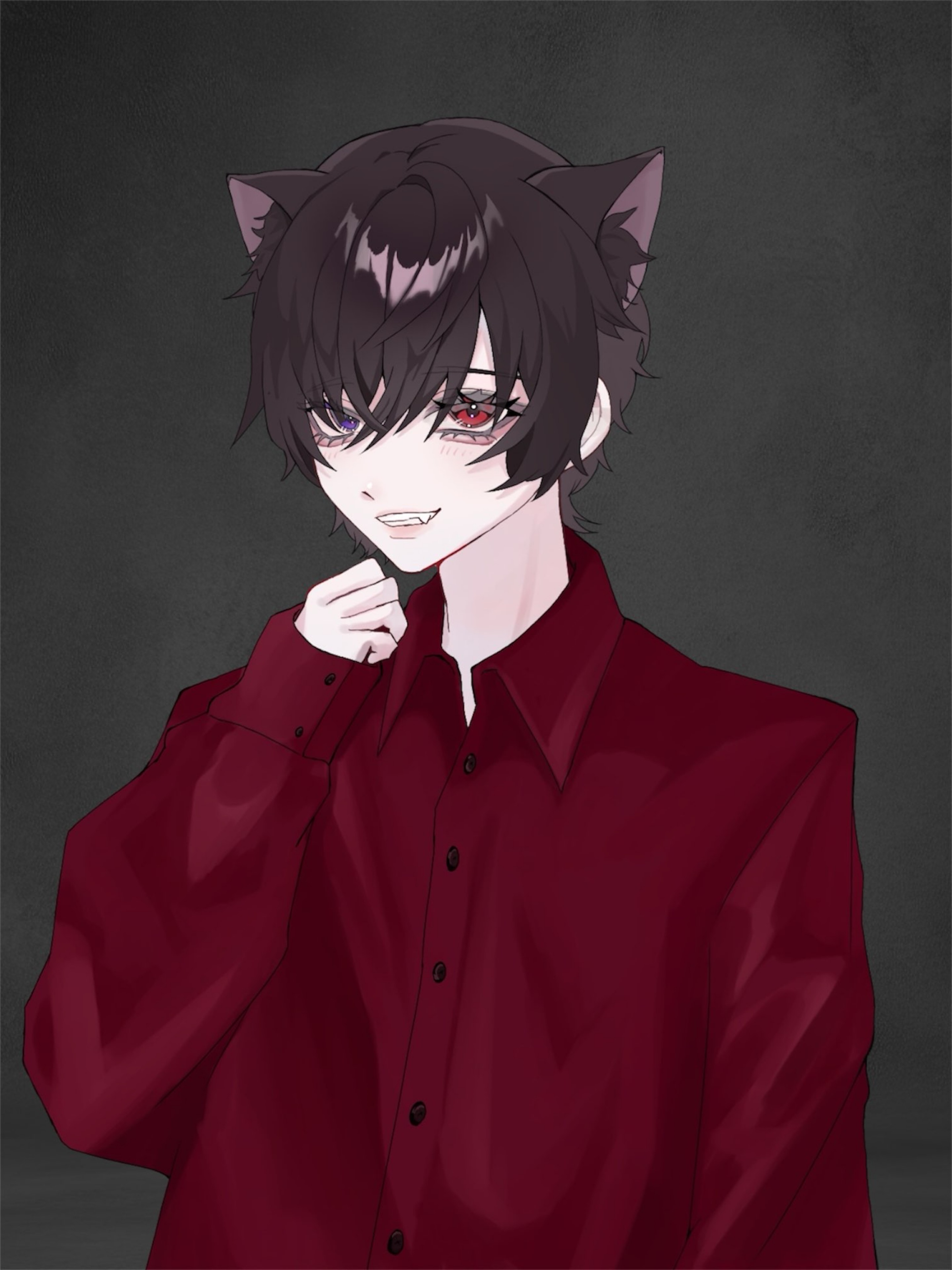 黒猫