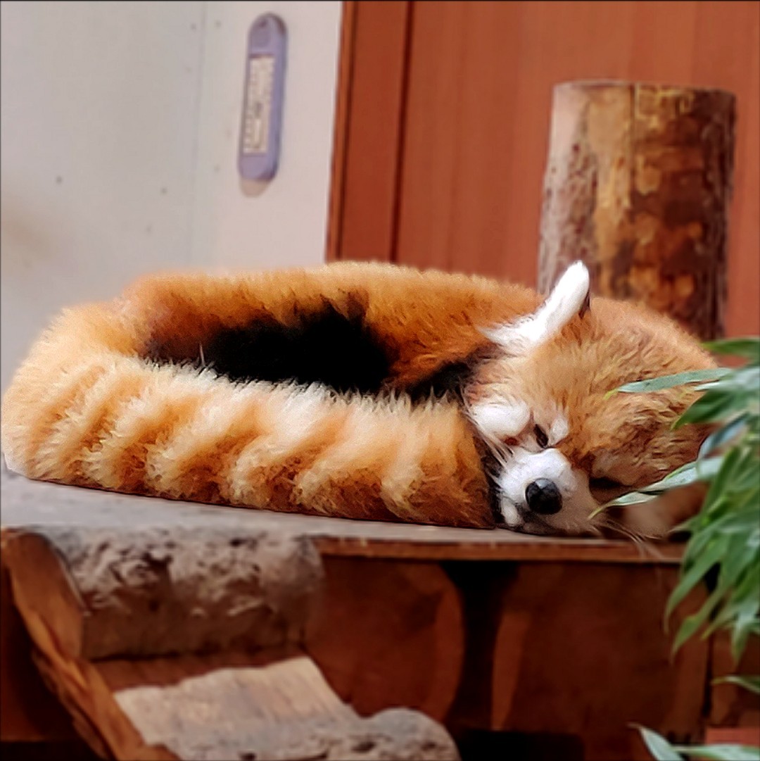 ひらん²⁵¹