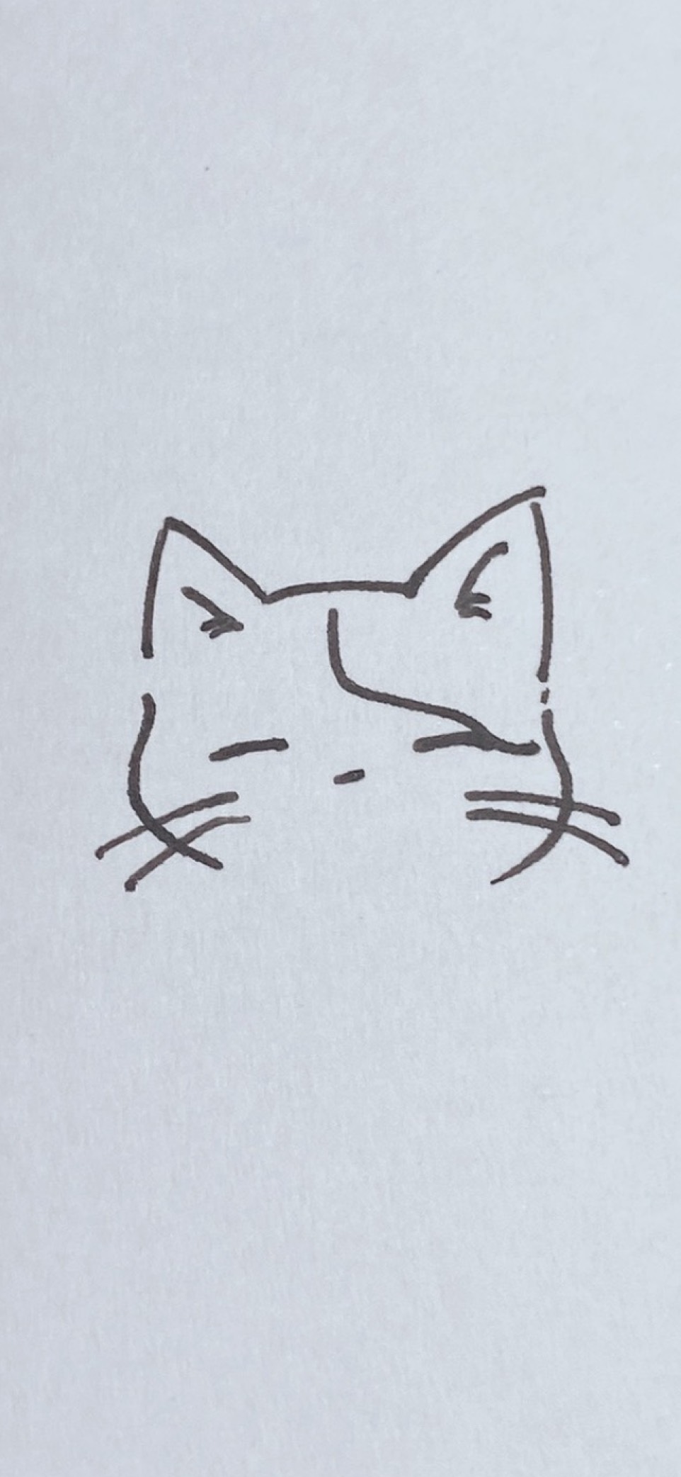 とみー