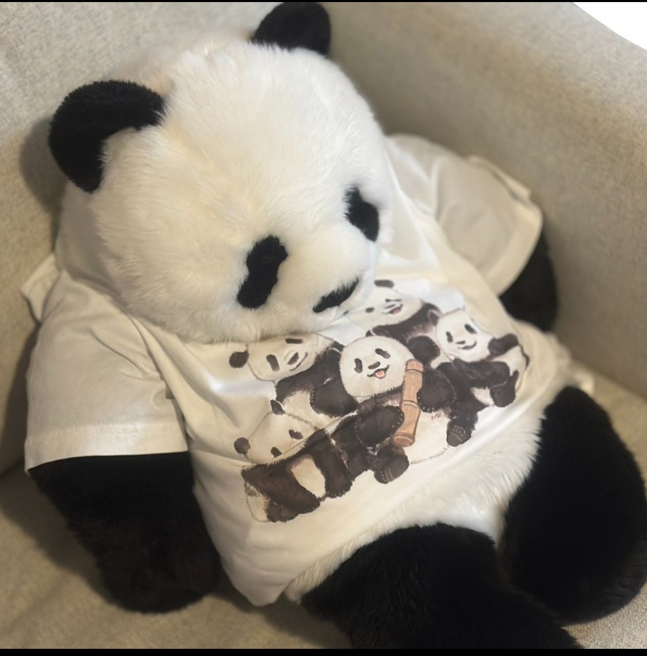 🐼ྀིまゆり🍎ぴゆ