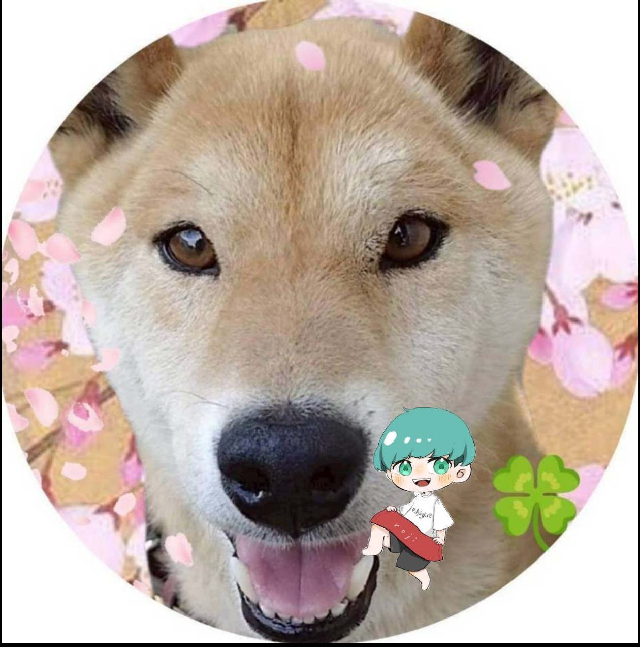 うさまめꕥ