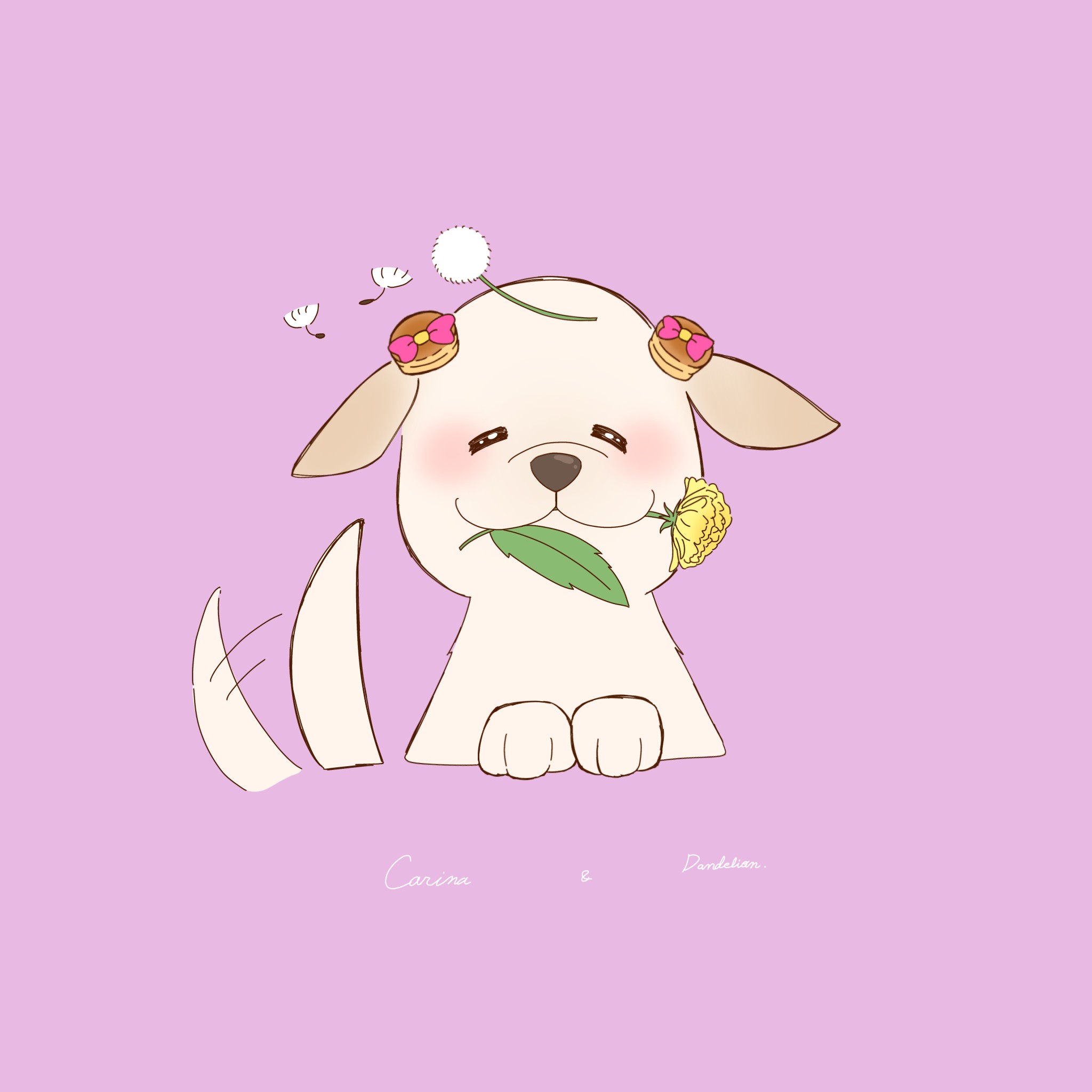 🐕Carinaﾁﾝ🏕