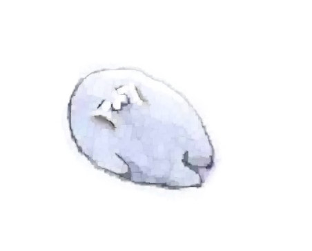 れんちゃま