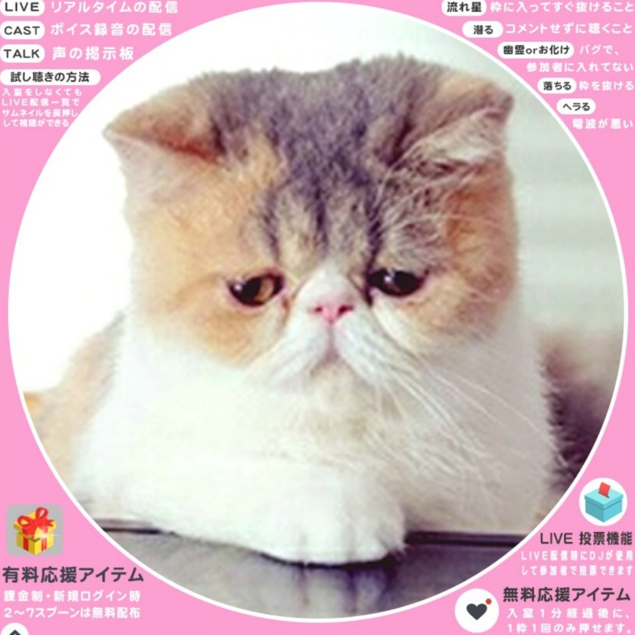 🐱✎mke(ミケ)꙳❅✧⋆̩*̣̩𓏲