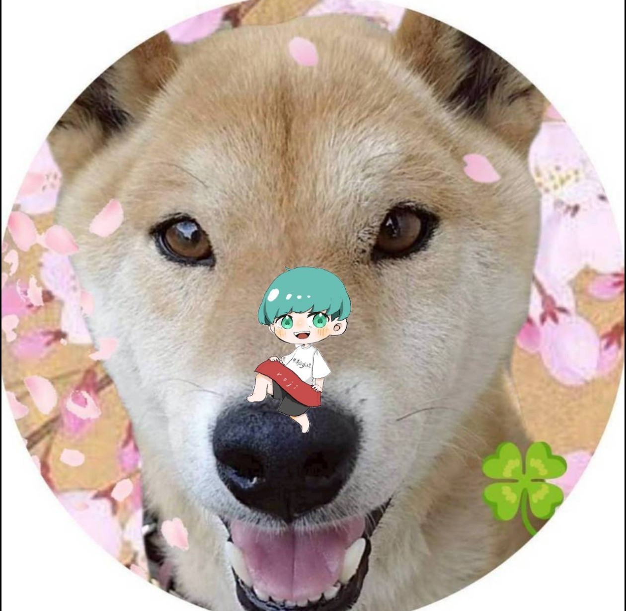 うさまめꕥ