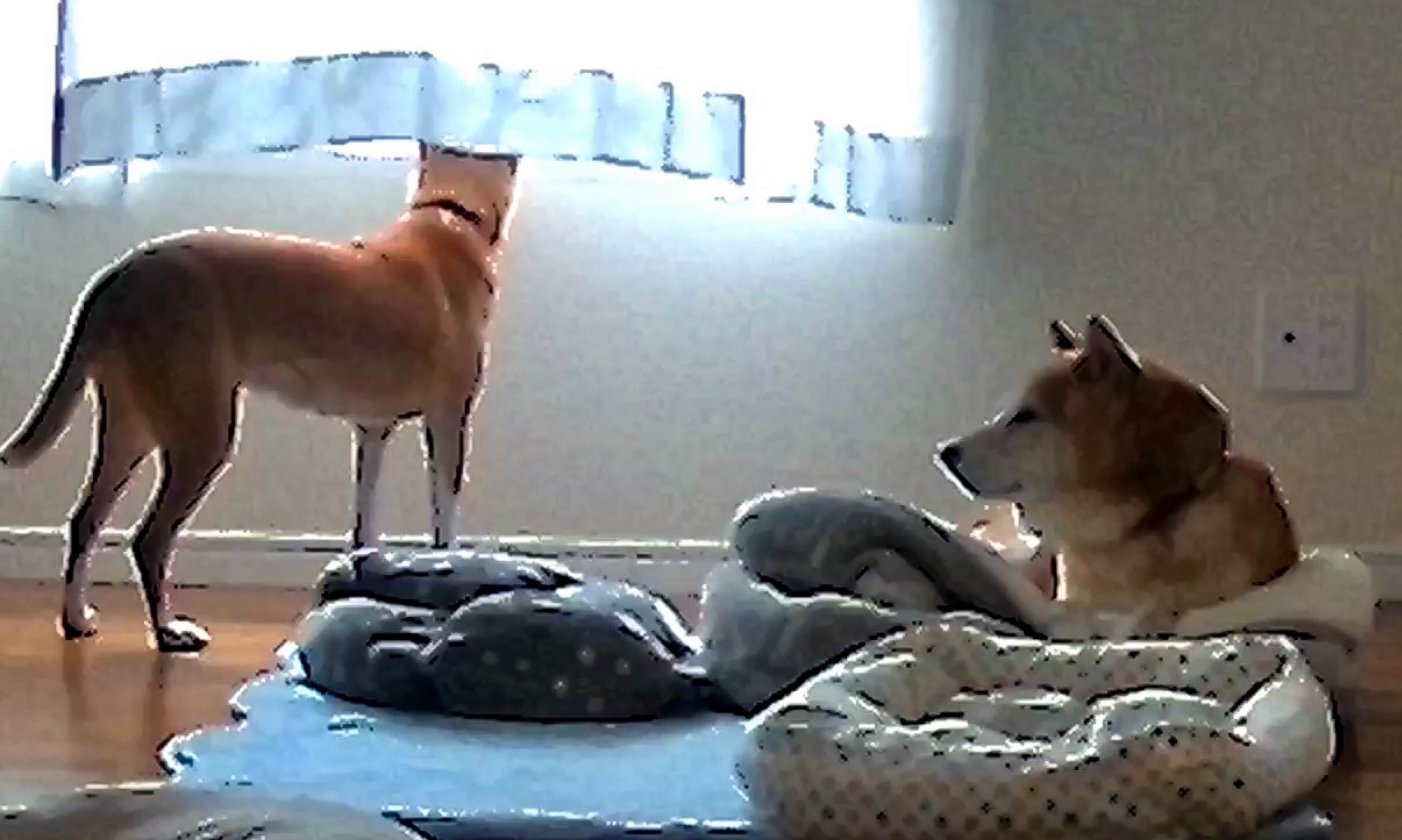 おや ✨