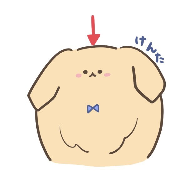 けん太