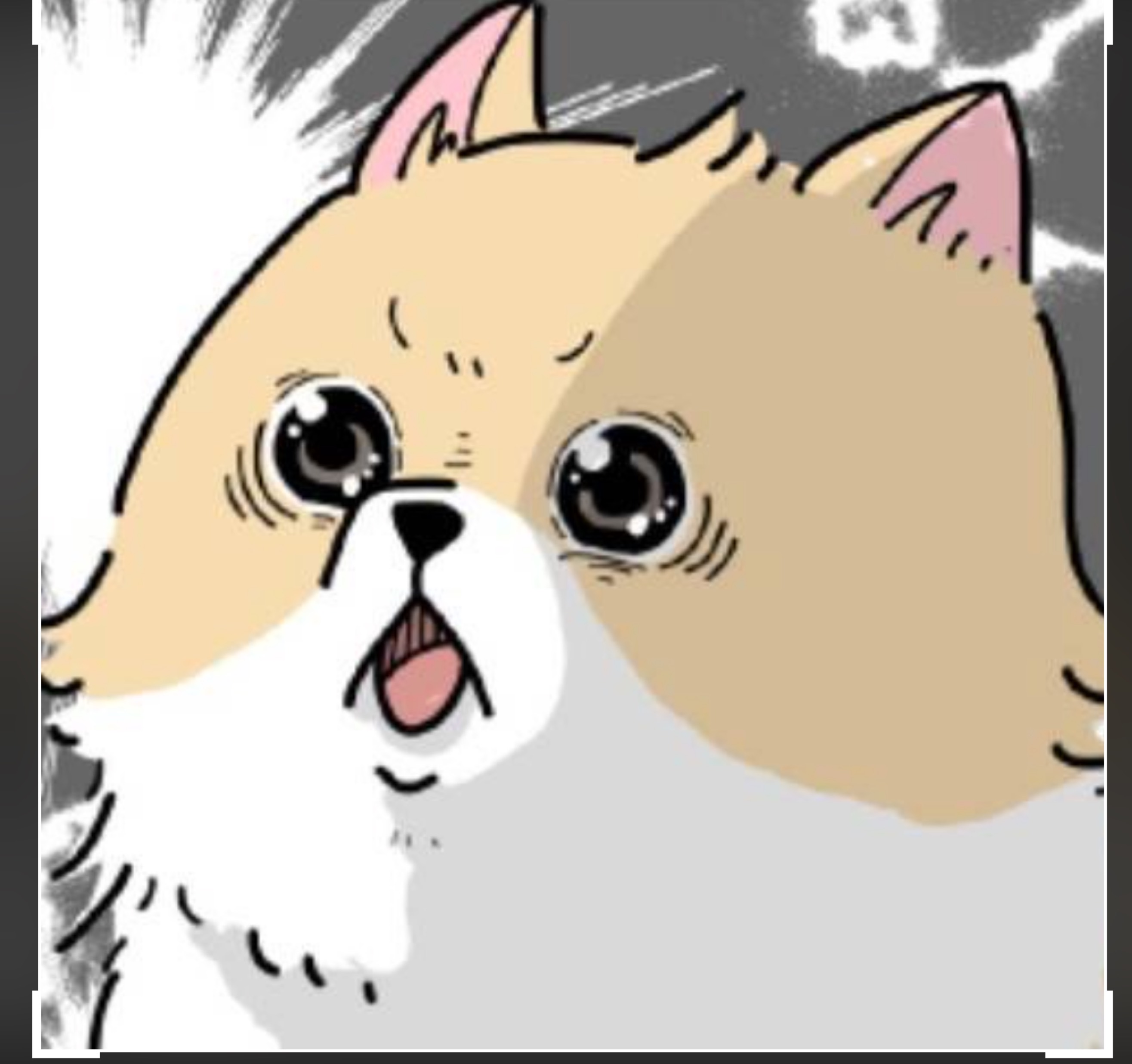 恋愛担当雄姉さん