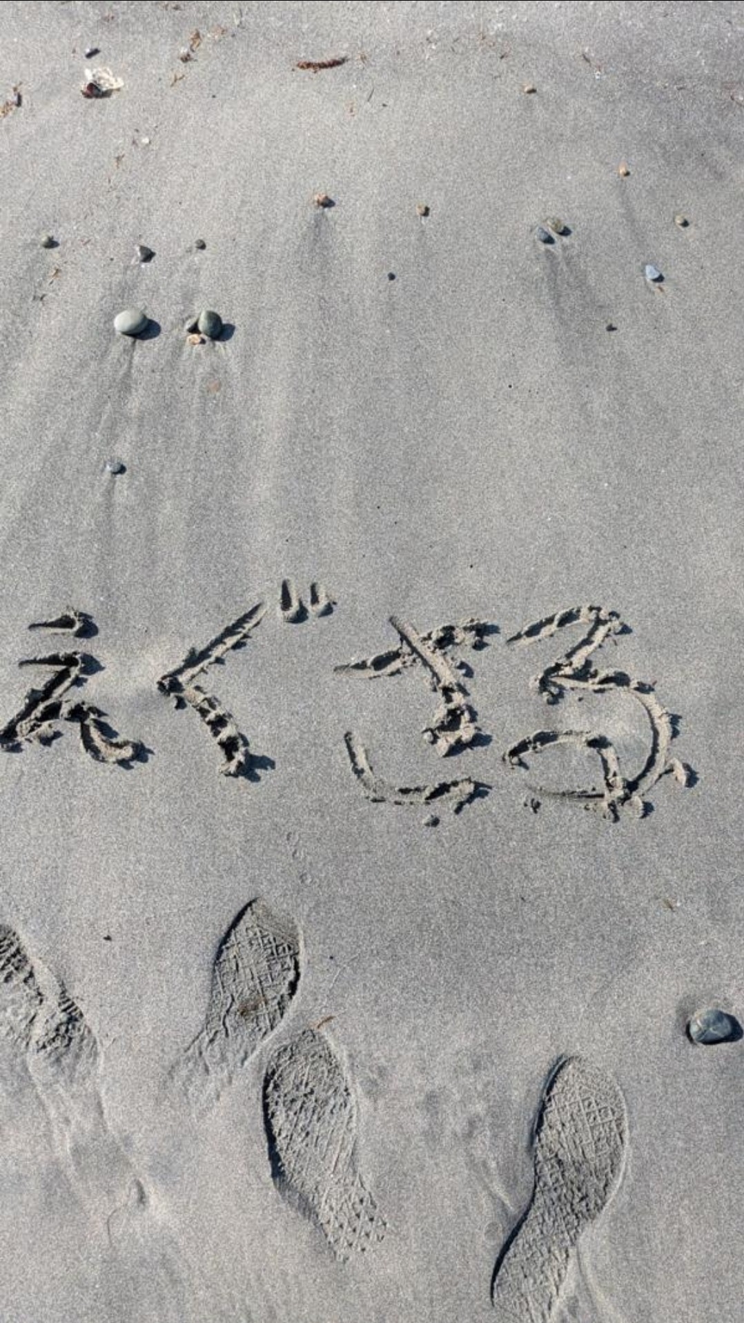 えぐさる🐒