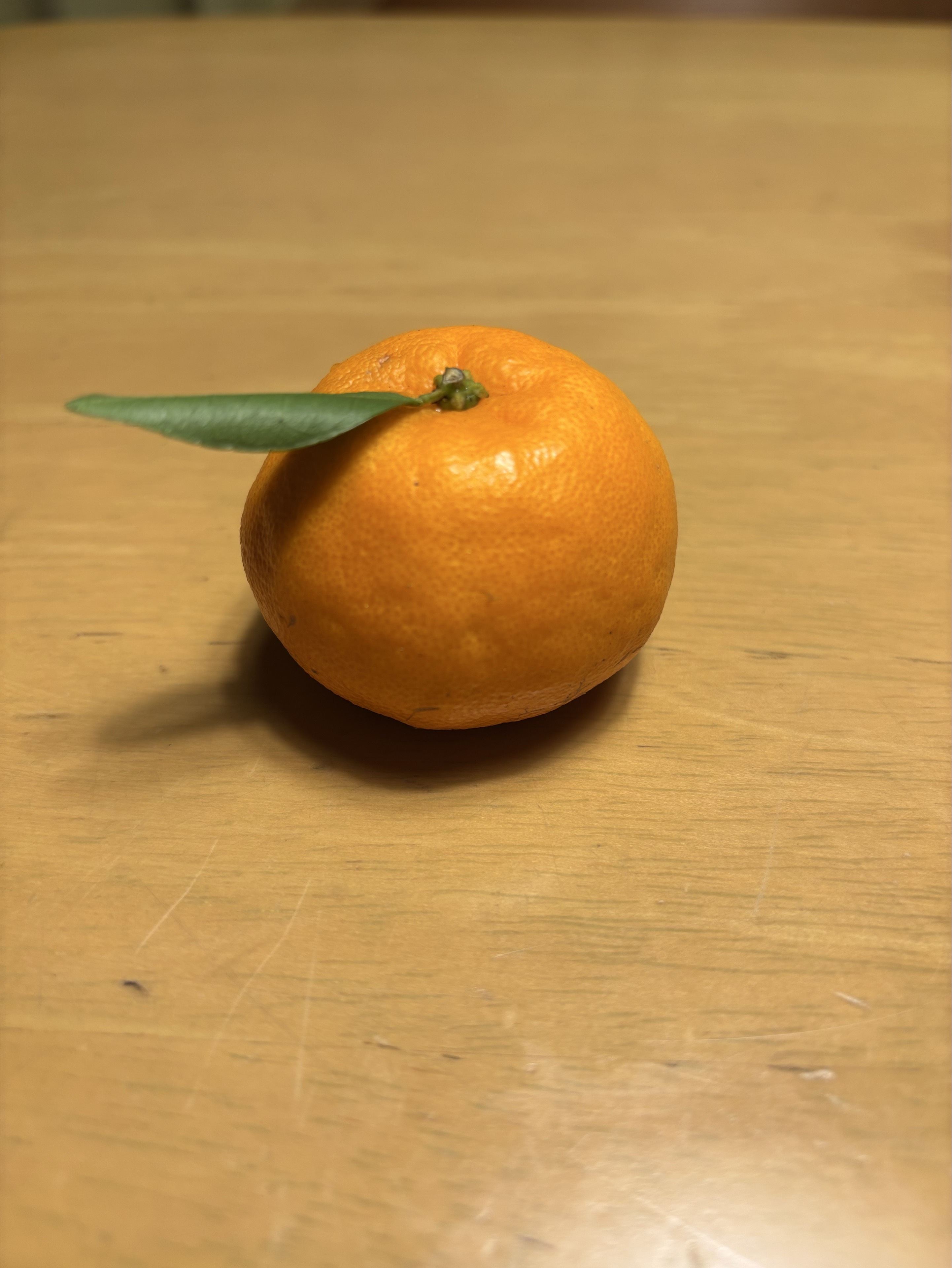 ぽんたろう˚₊·—̳͟͞͞♡𝓐