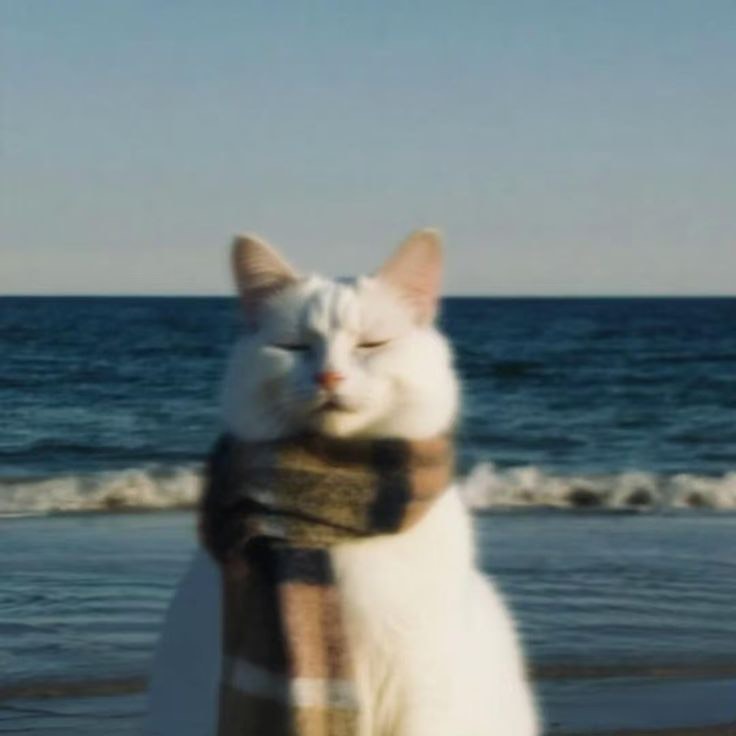 みのうら